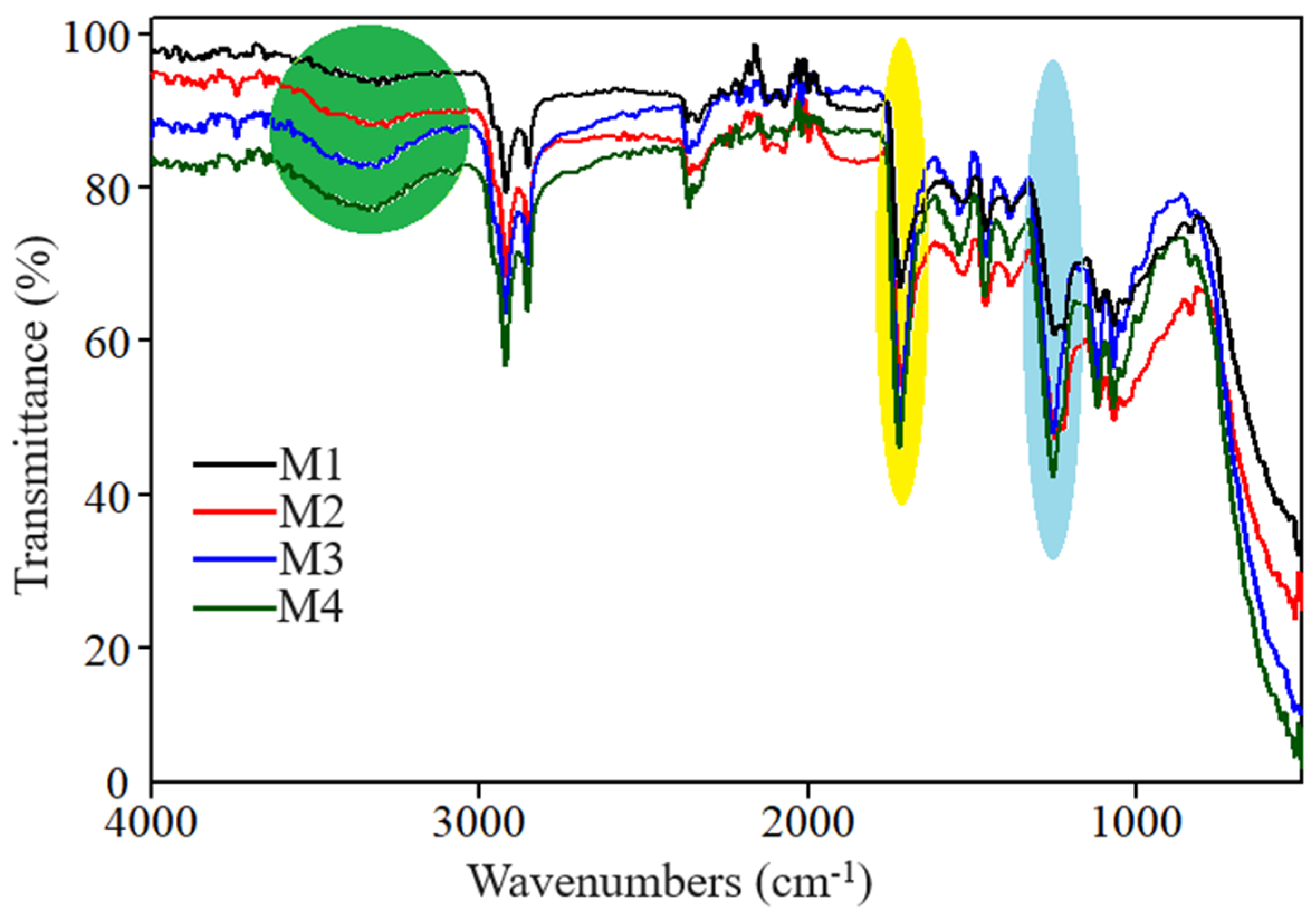 Coatings 14 01016 g004