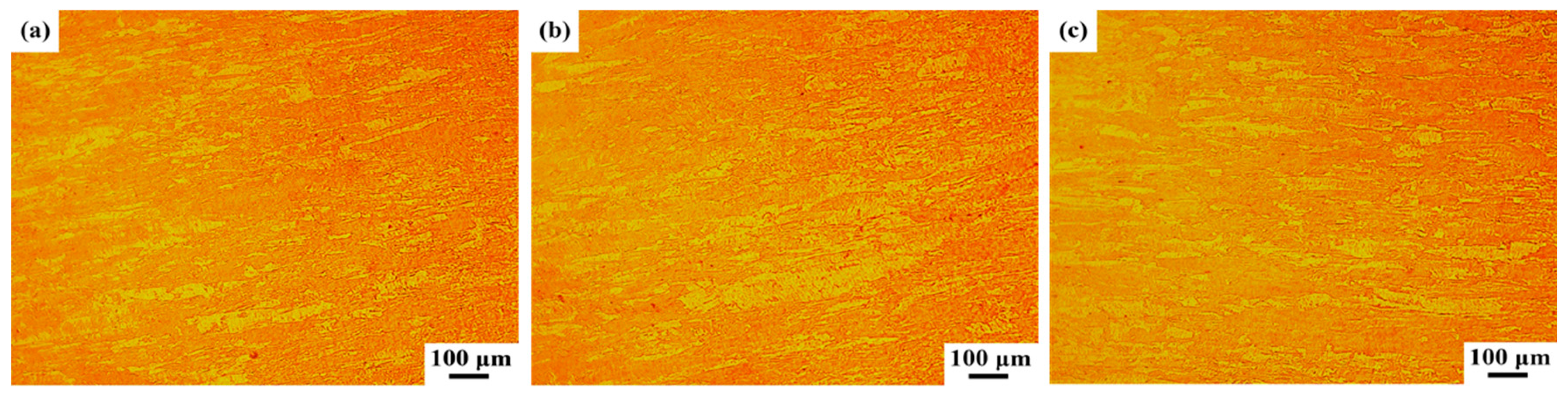 Coatings 14 01017 g004