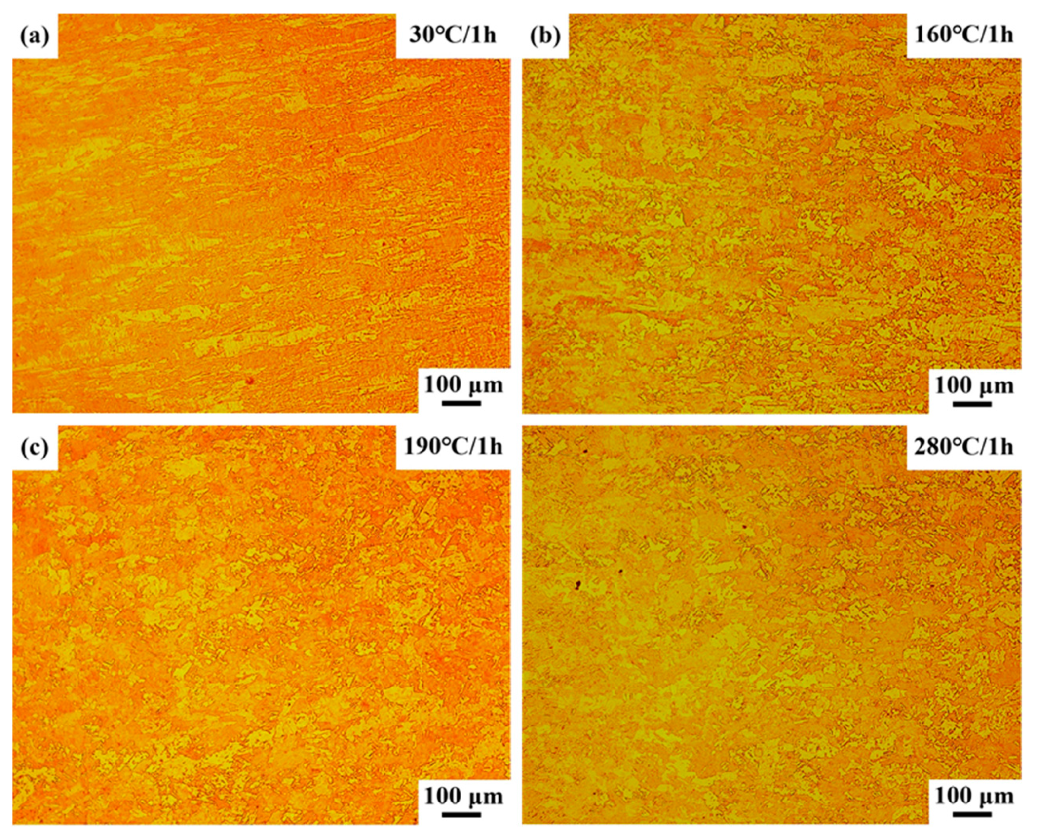 Coatings 14 01017 g007