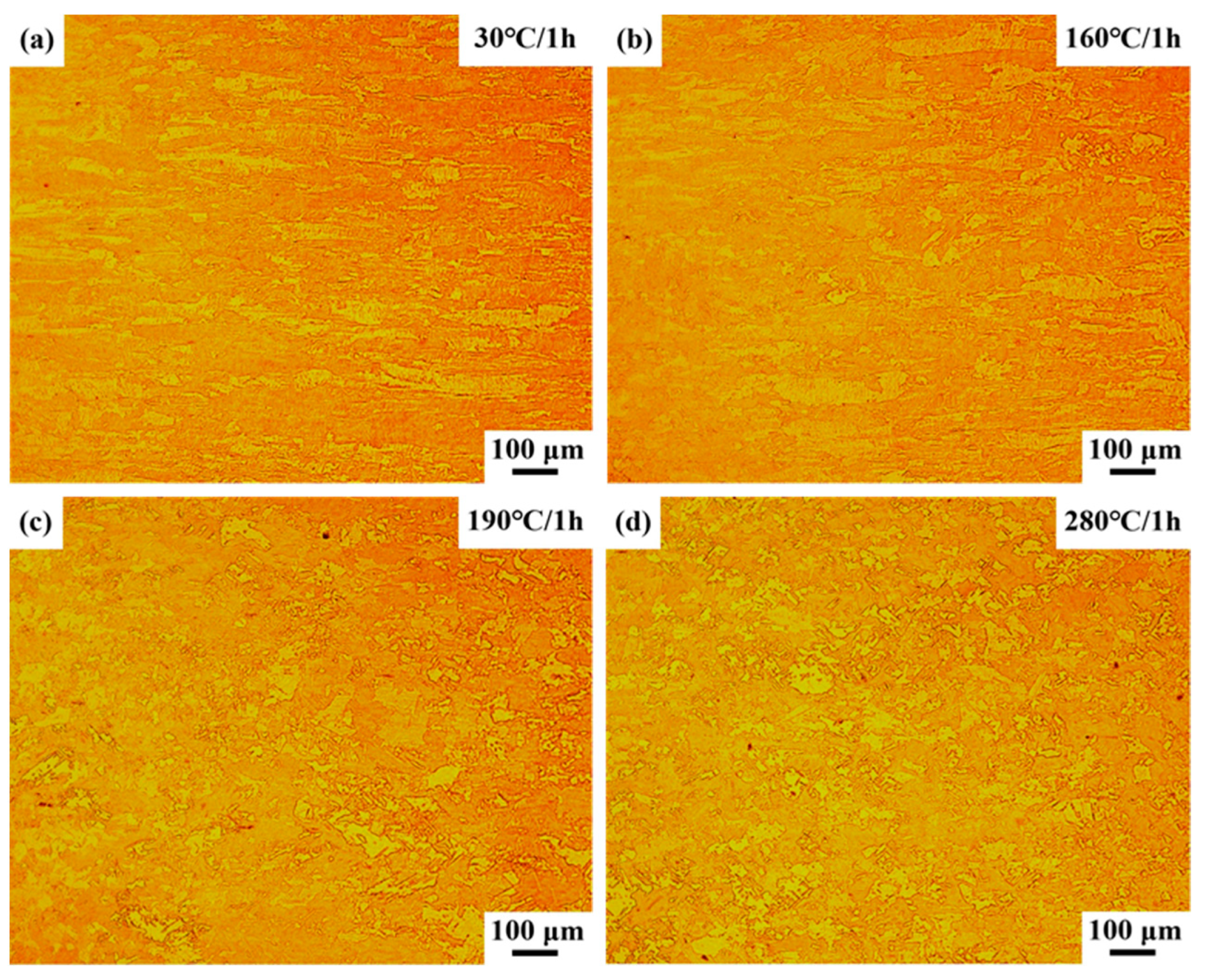 Coatings 14 01017 g009