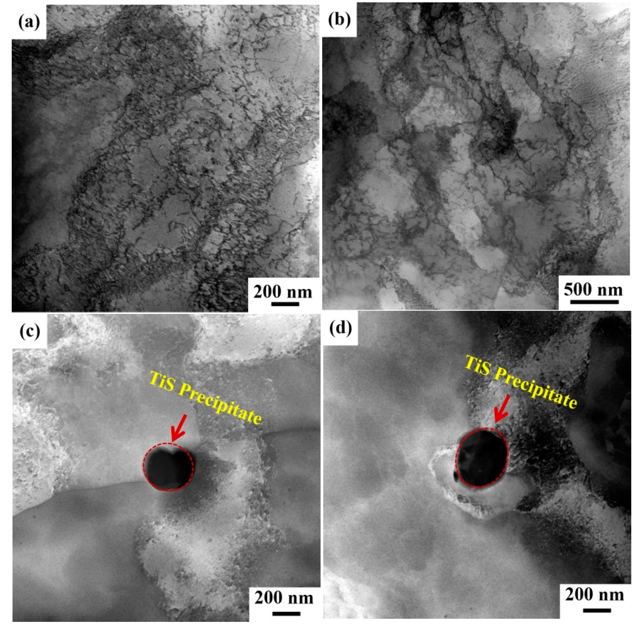 Coatings 14 01017 g010