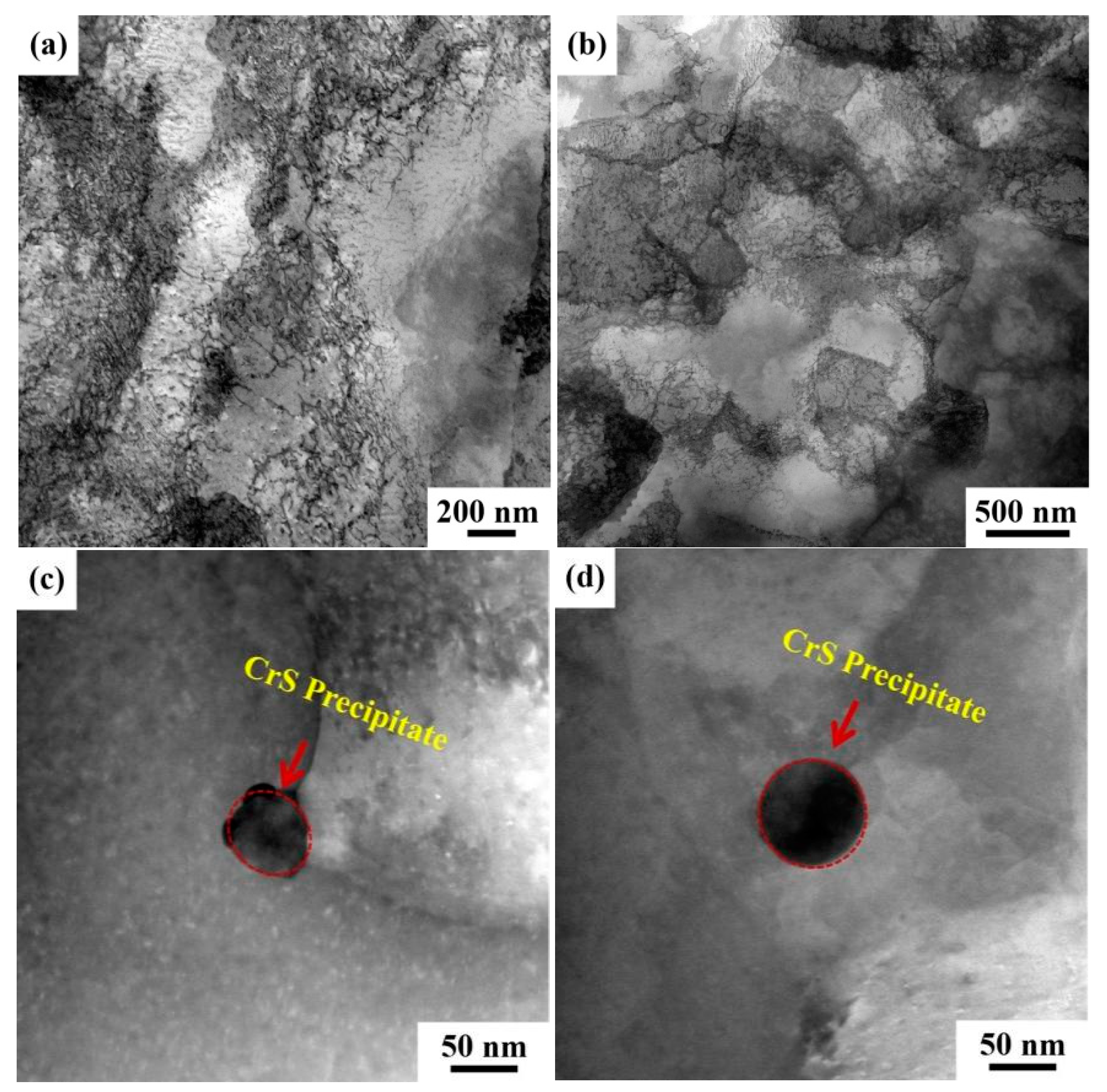 Coatings 14 01017 g013