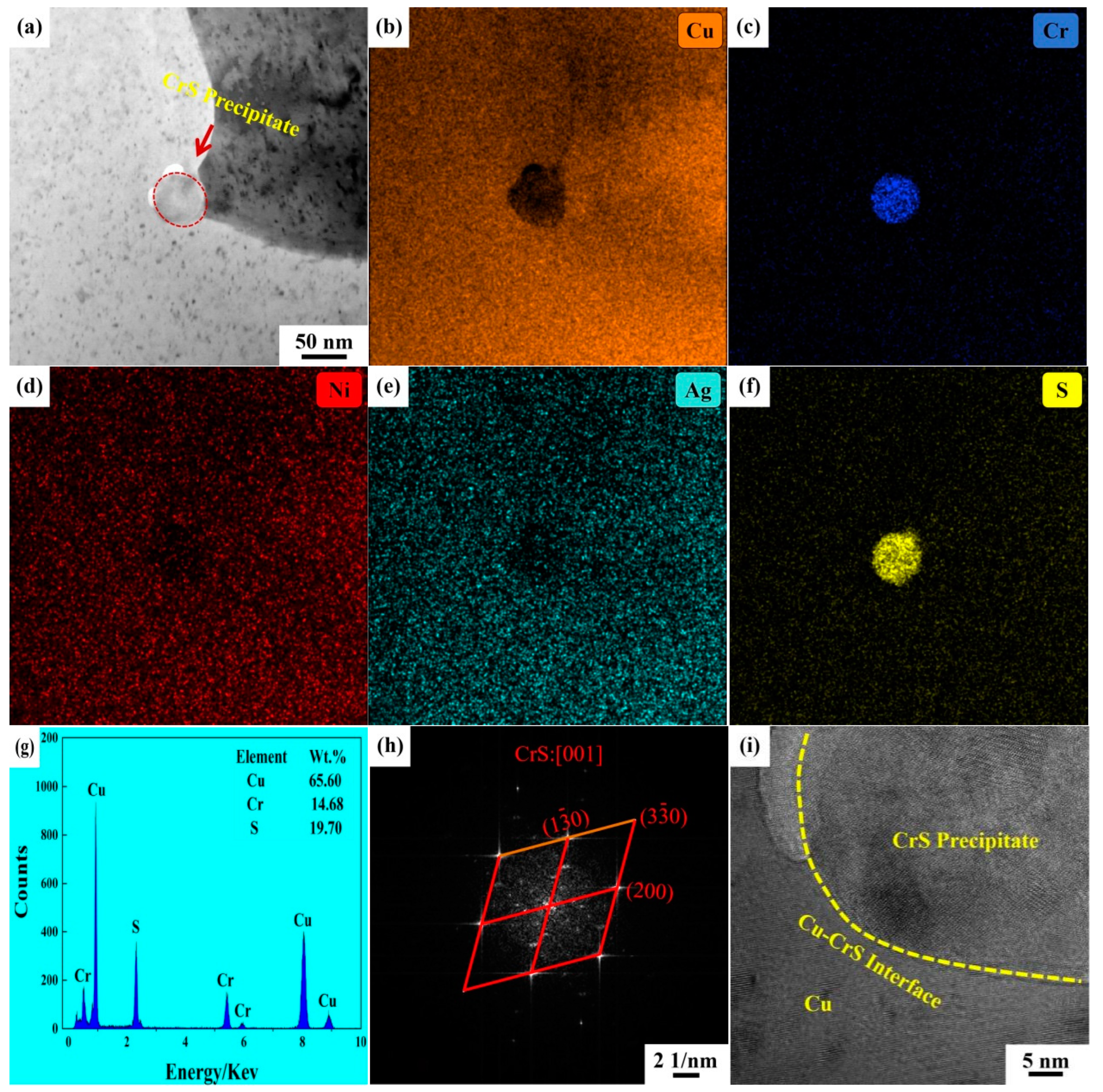 Coatings 14 01017 g014