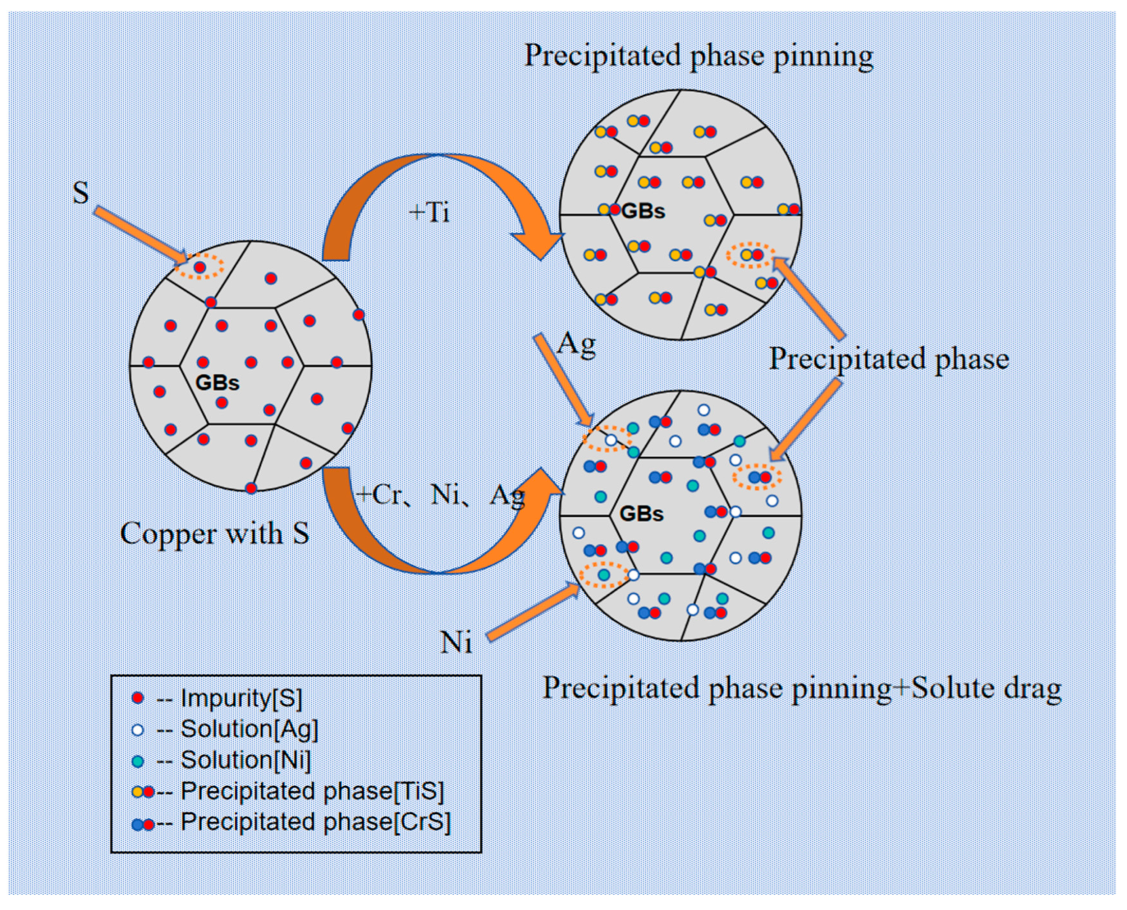 Coatings 14 01017 g016