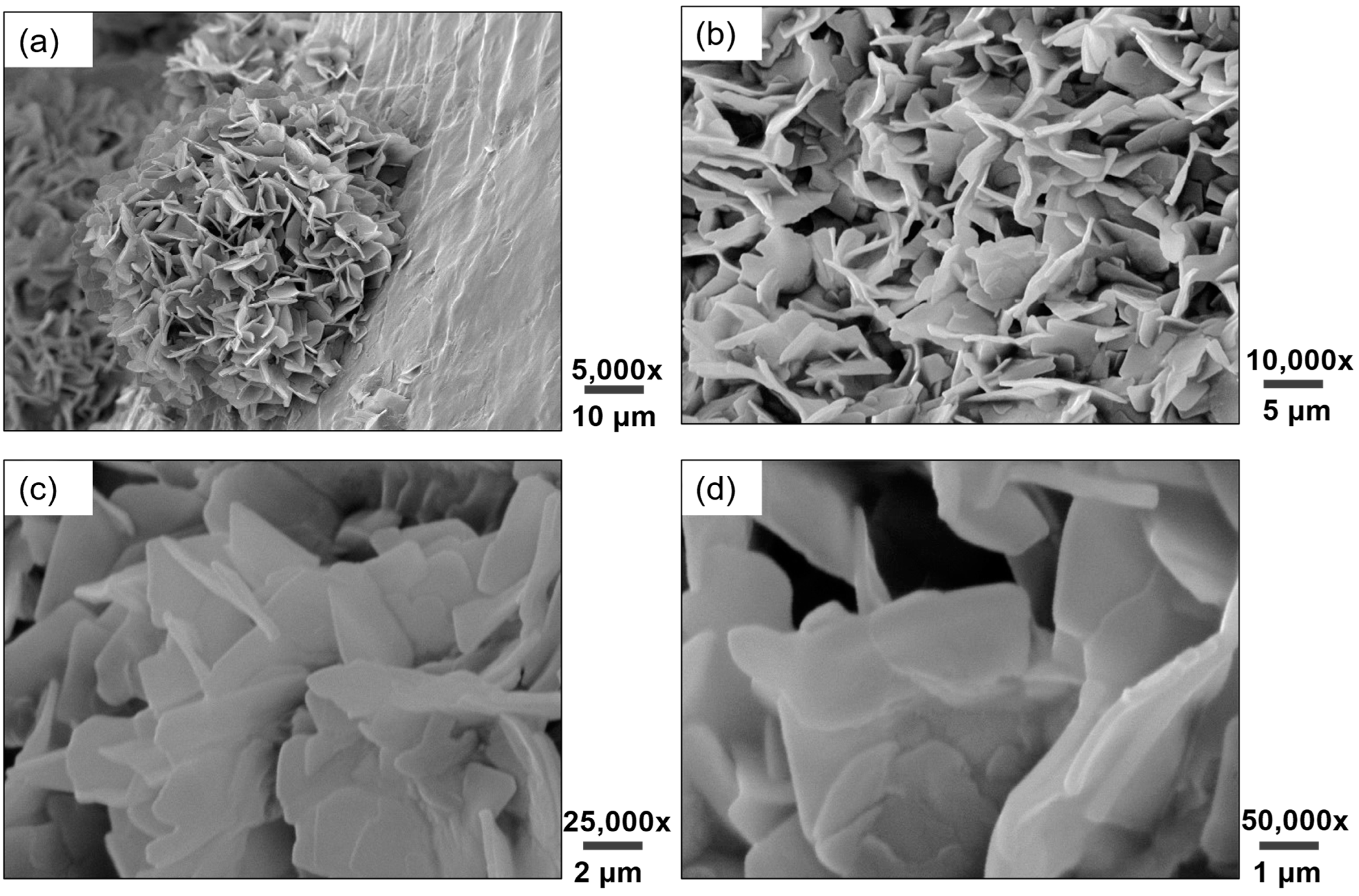 Coatings 14 01028 g001