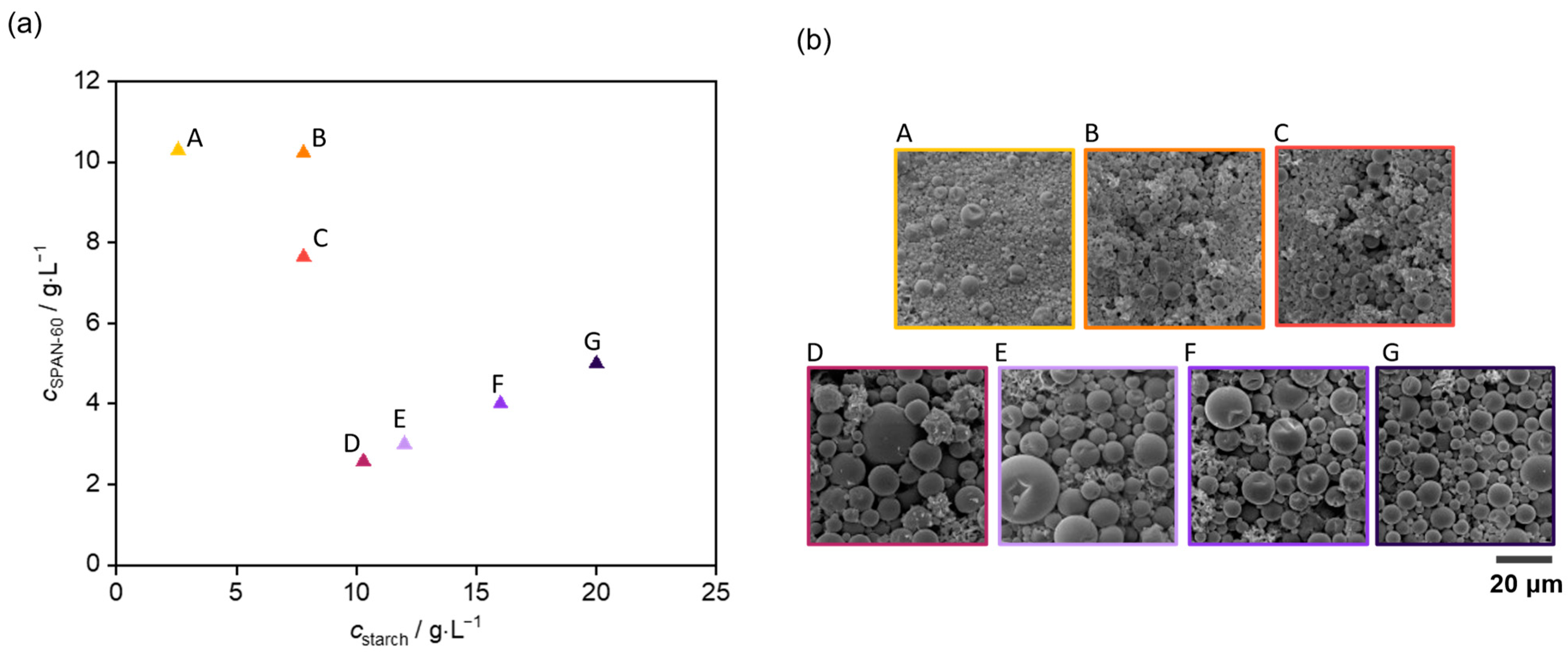 Coatings 14 01028 g004
