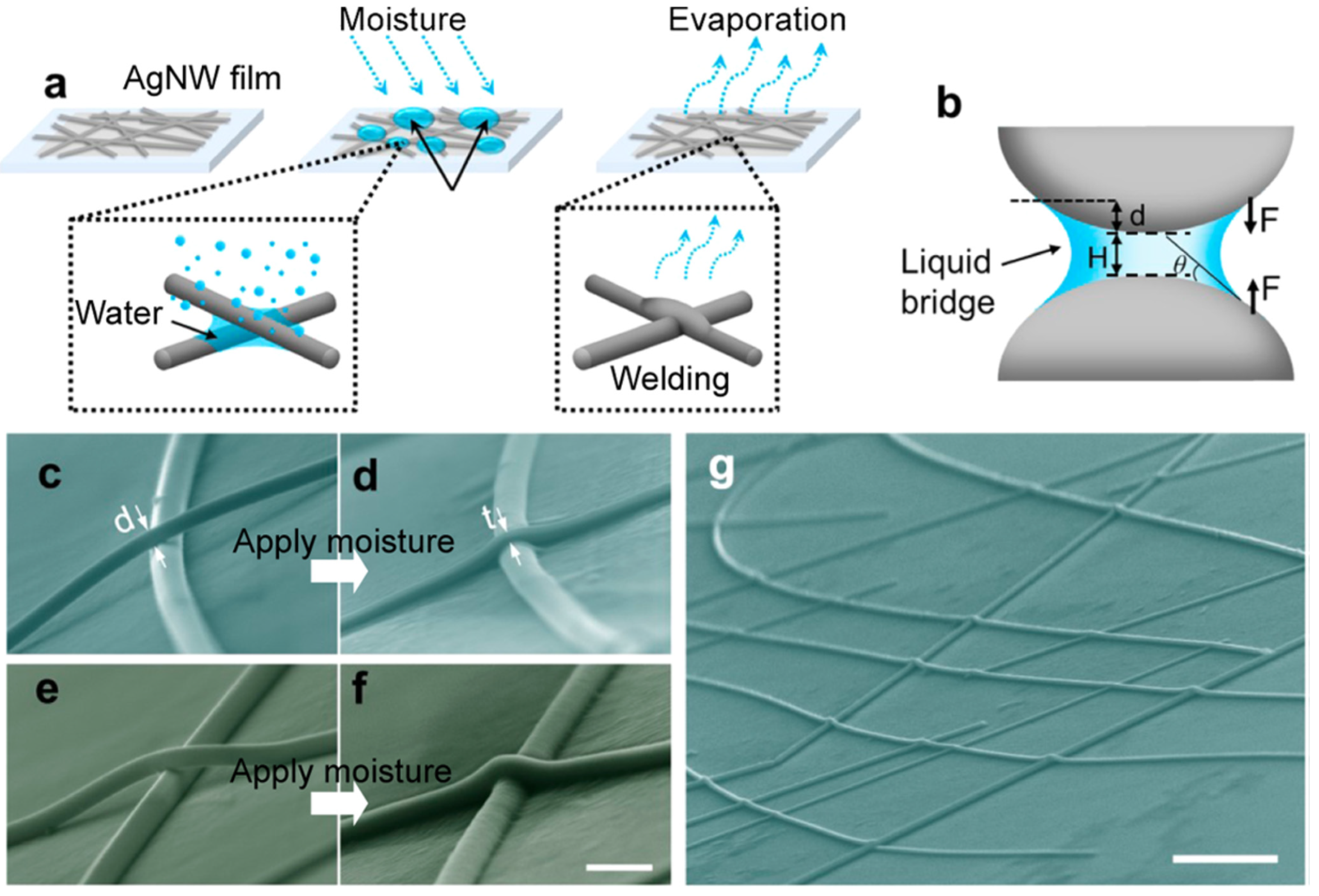 Coatings 14 01031 g007