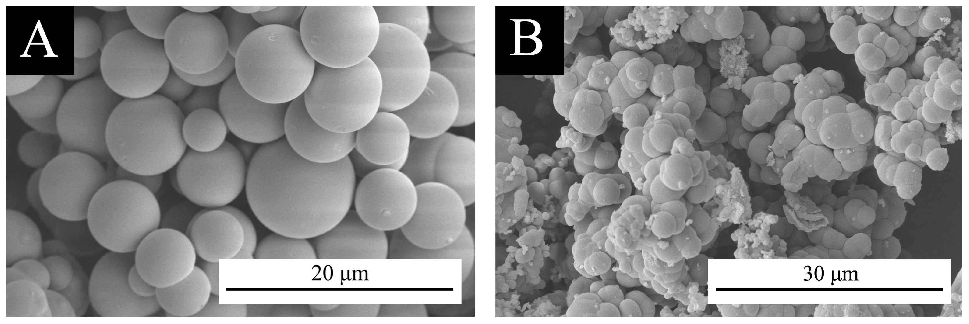 Coatings 14 01032 g001
