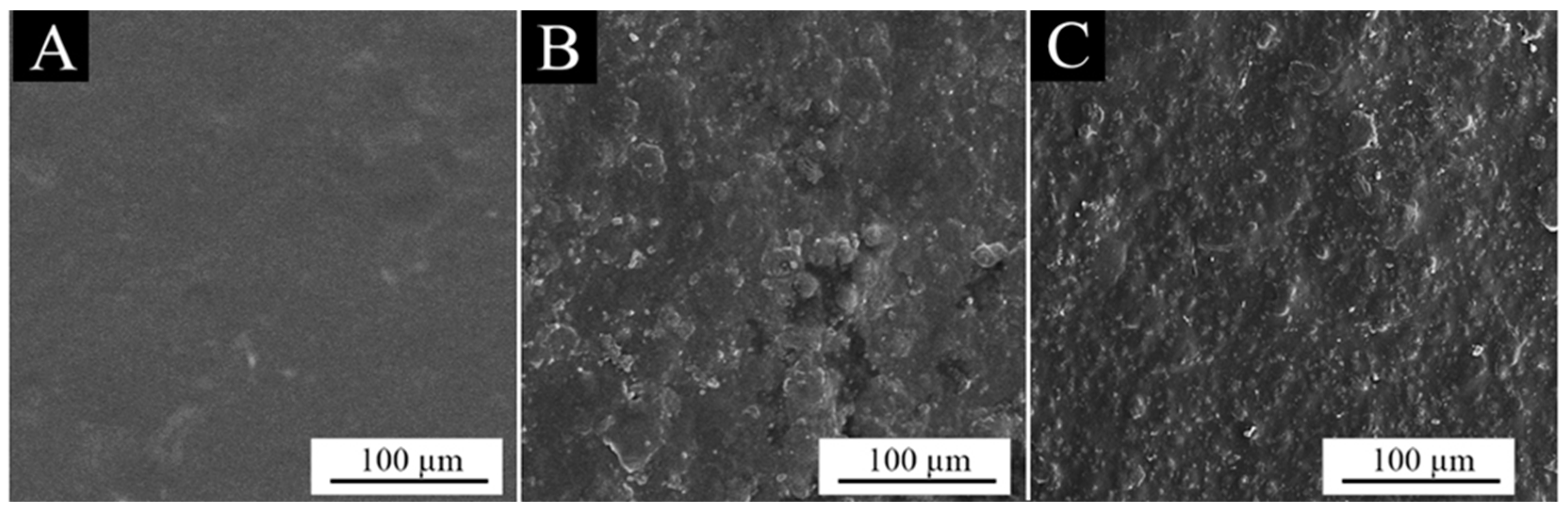 Coatings 14 01032 g004