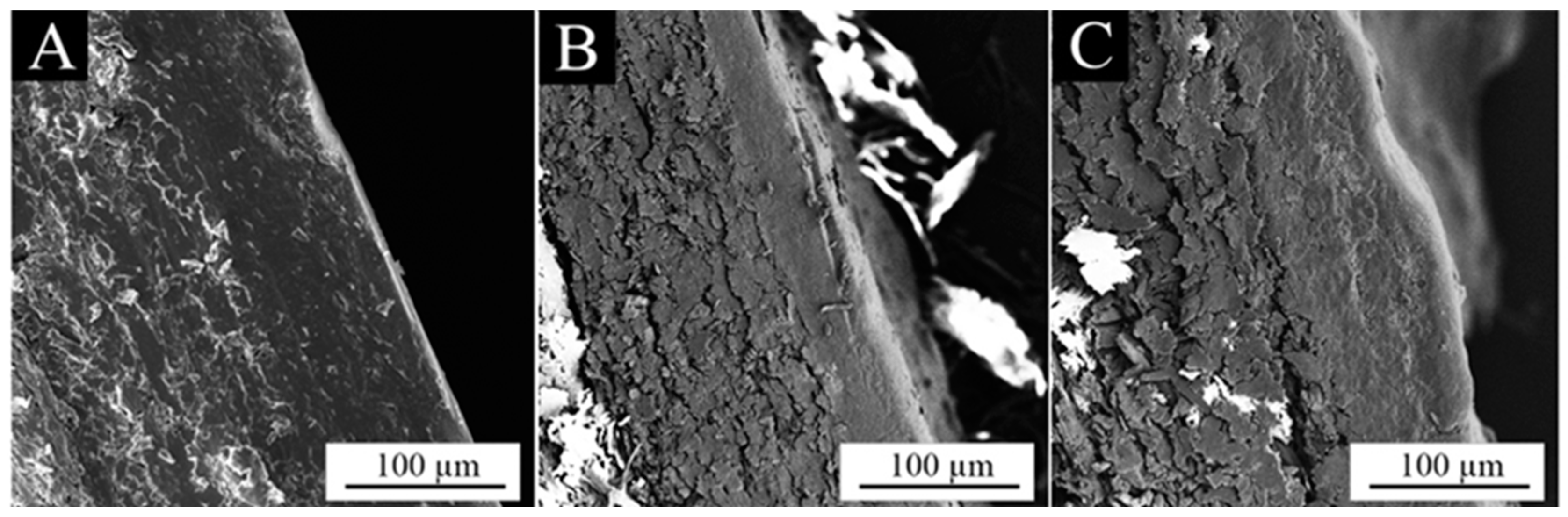 Coatings 14 01032 g005