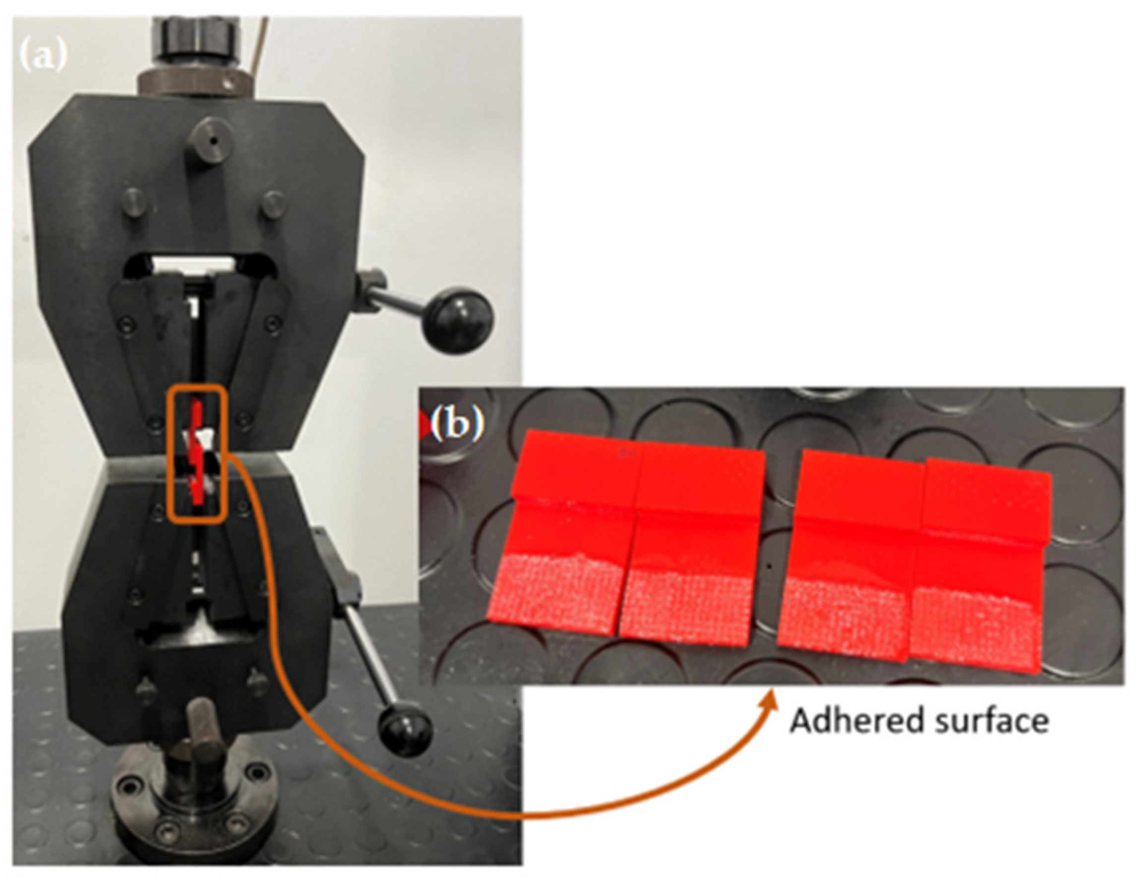 Coatings 14 01033 g007