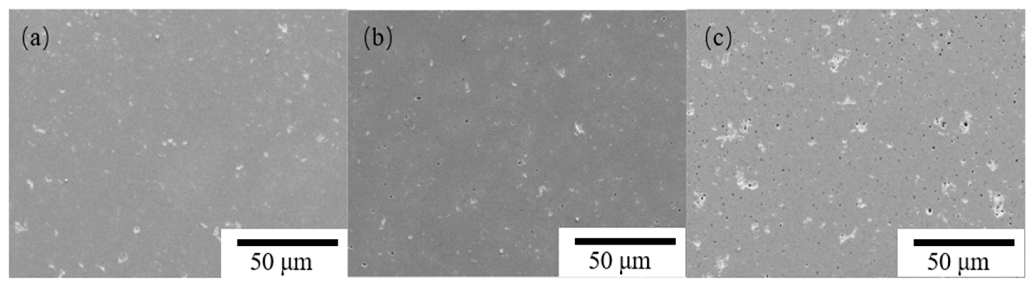 Coatings 14 01035 g005