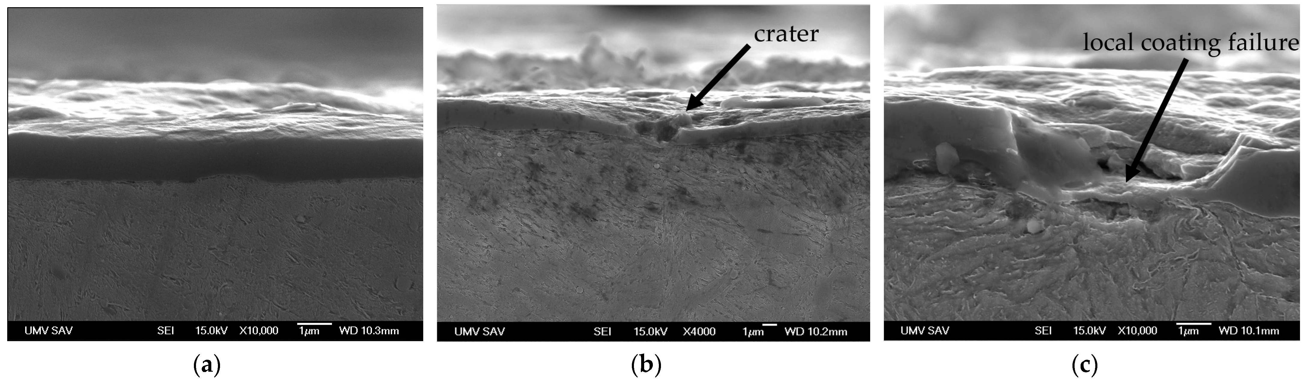 Coatings 14 01043 g006