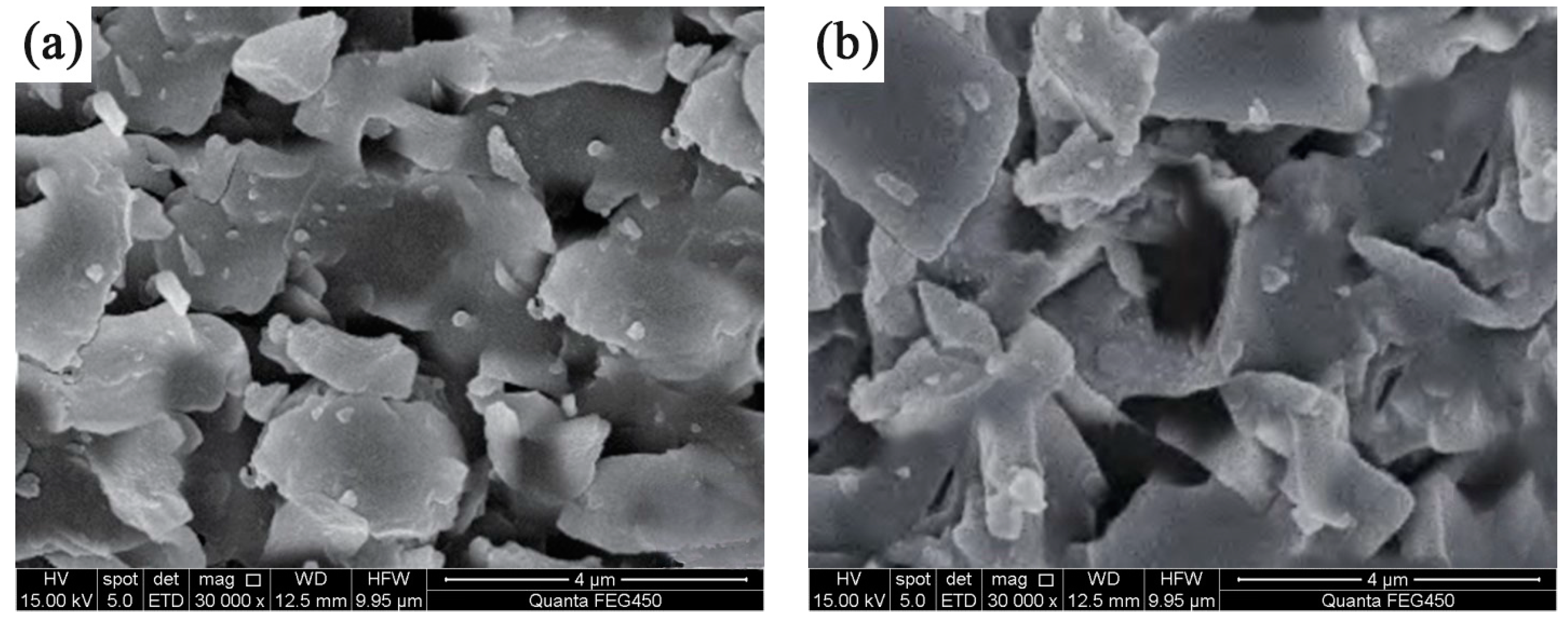 Coatings 14 01044 g007a