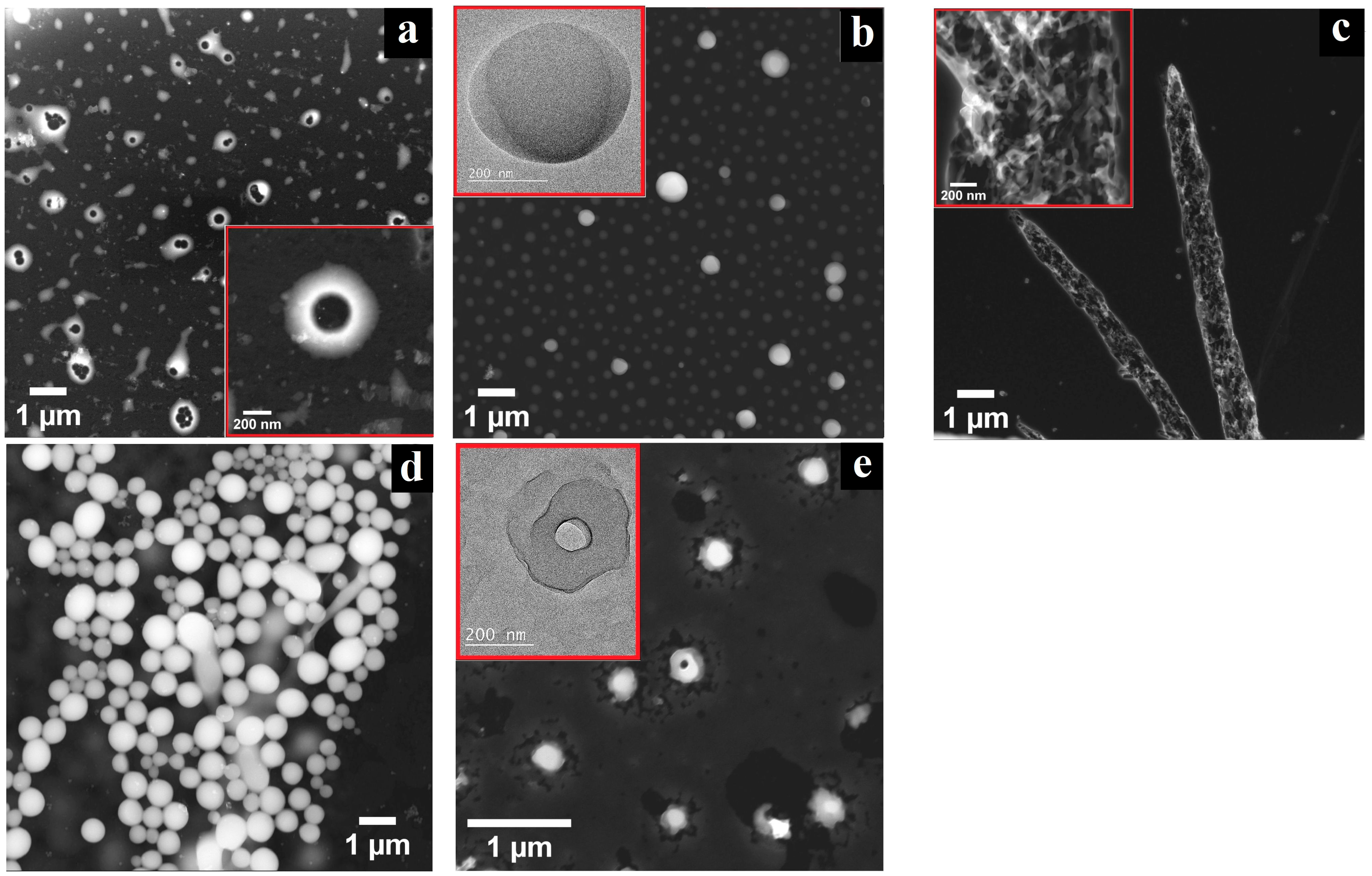 Coatings 14 01048 g001