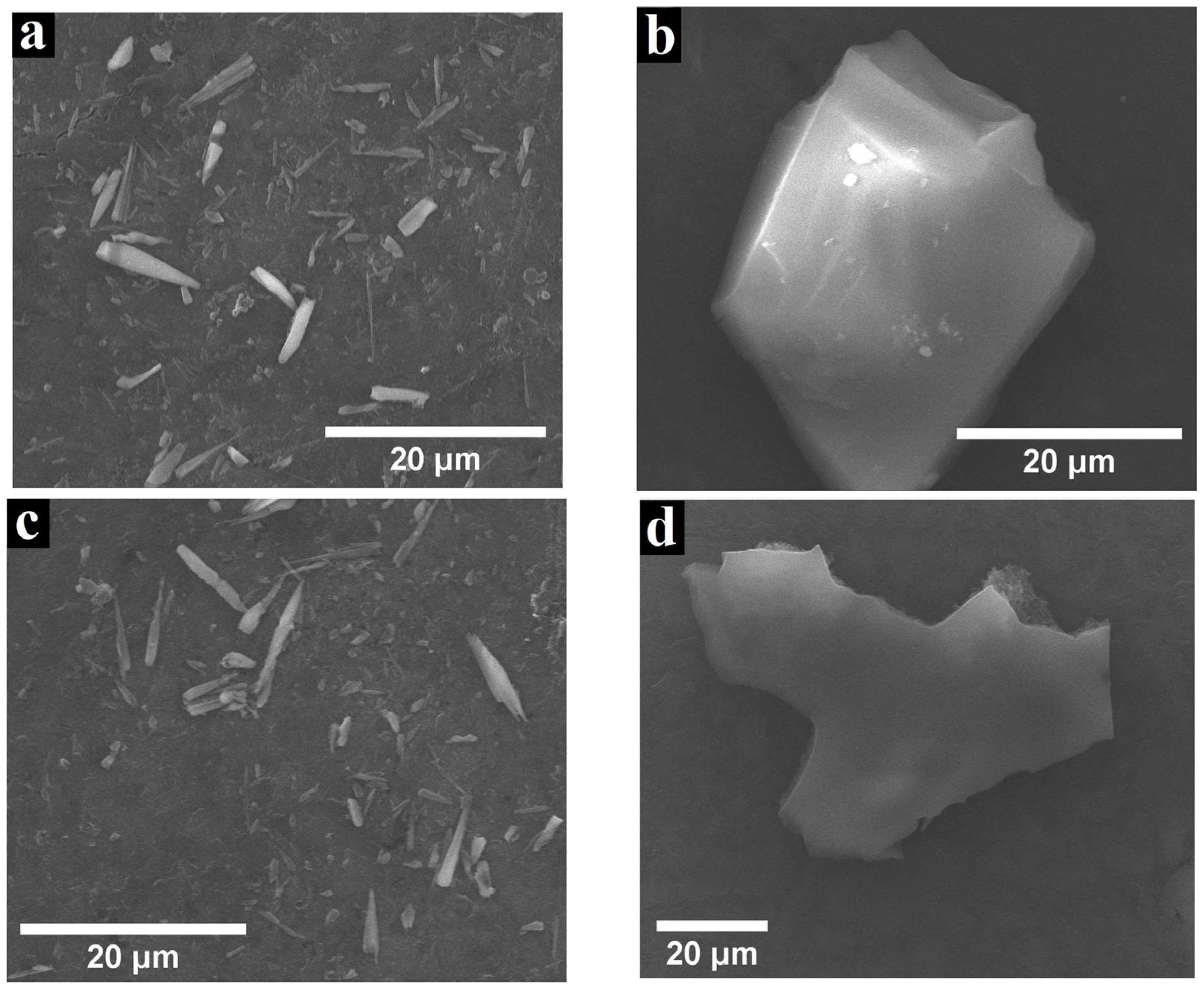 Coatings 14 01048 g005