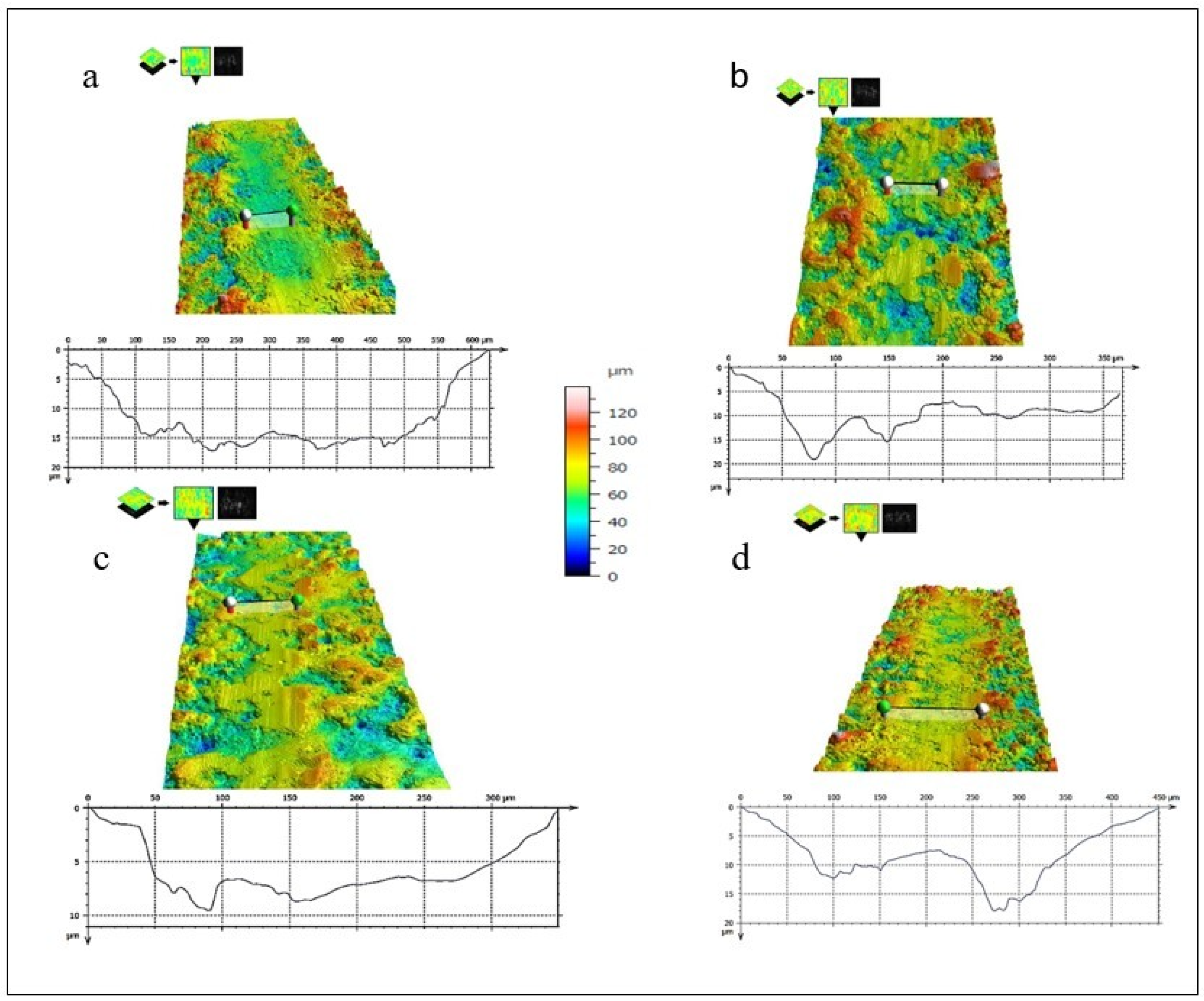 Coatings 14 01049 g006