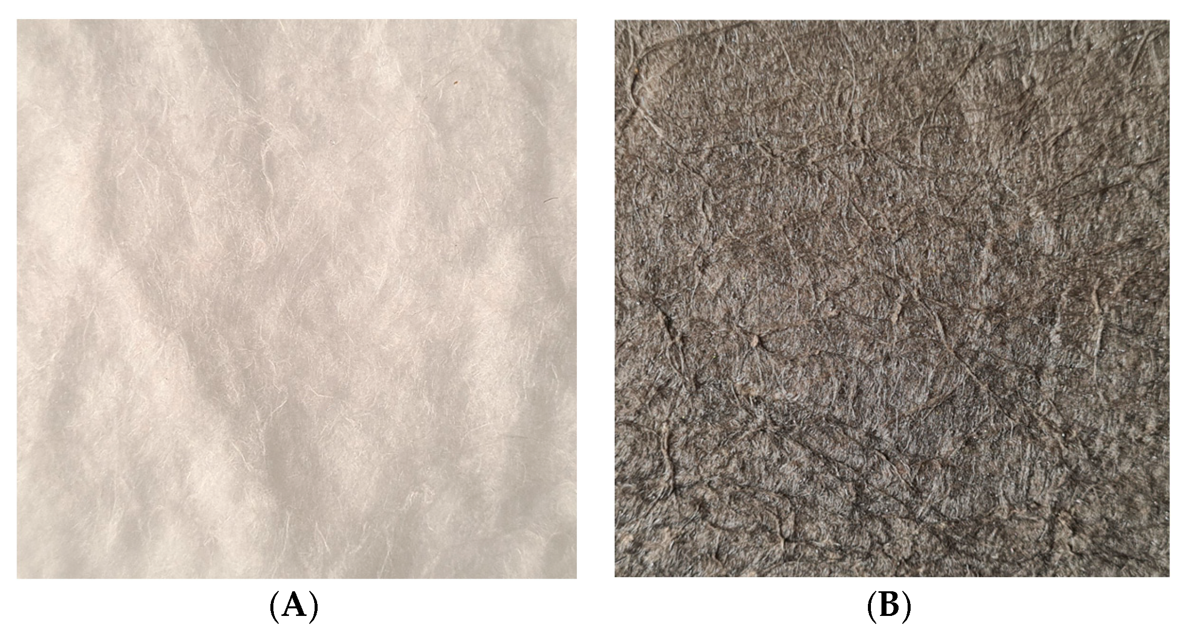 Coatings 14 01050 g002 Coatings 14 01050 g002