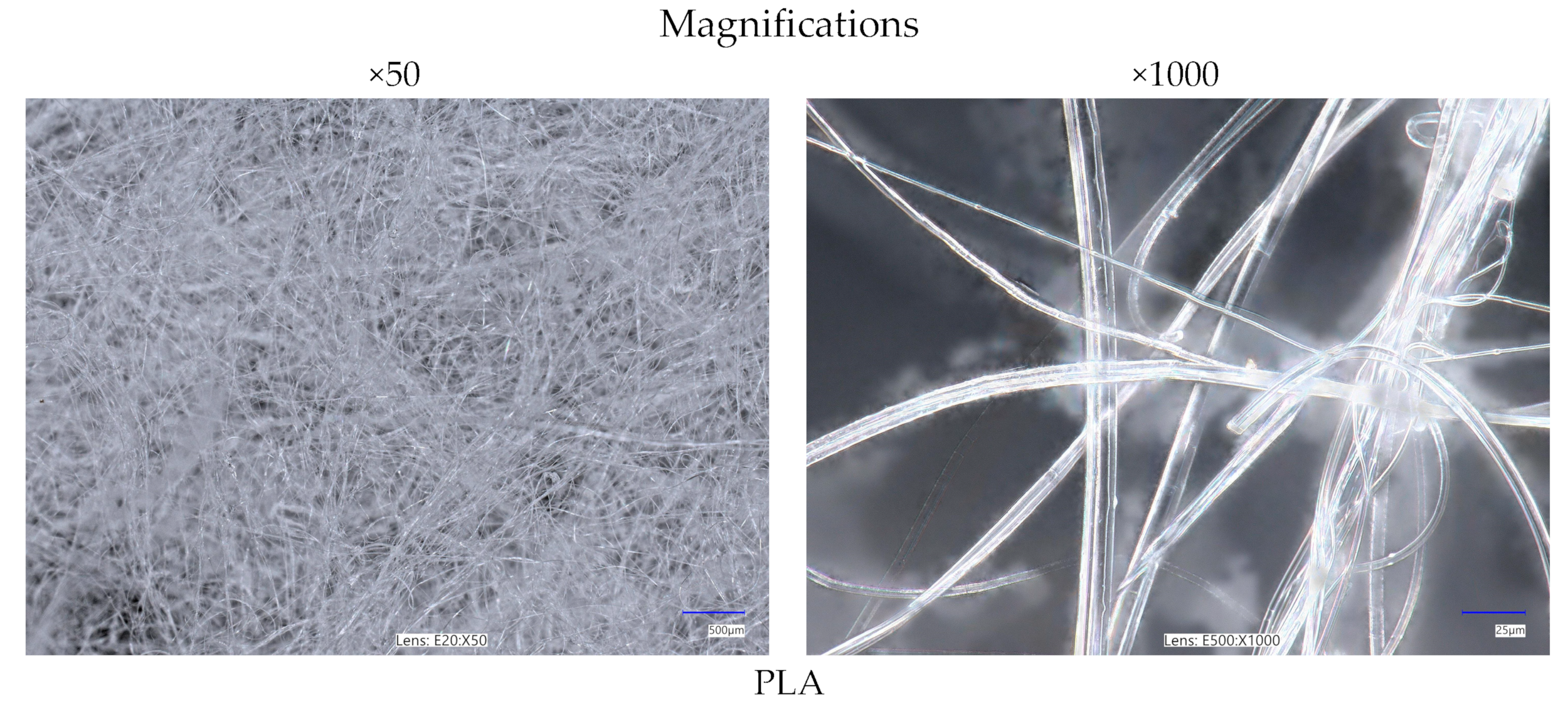 Coatings 14 01050 g003a Coatings 14 01050 g003a