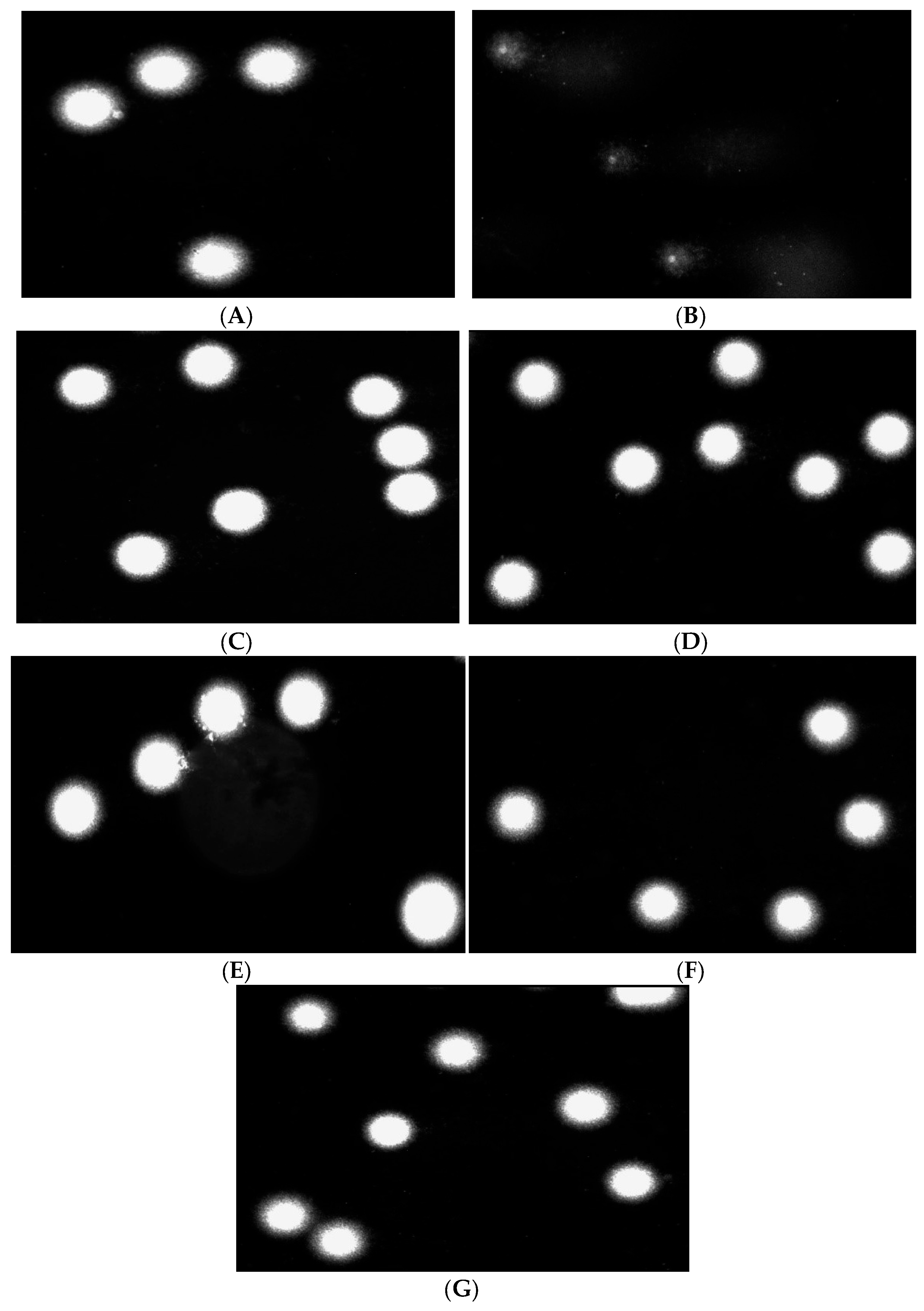 Coatings 14 01050 g011 Coatings 14 01050 g011