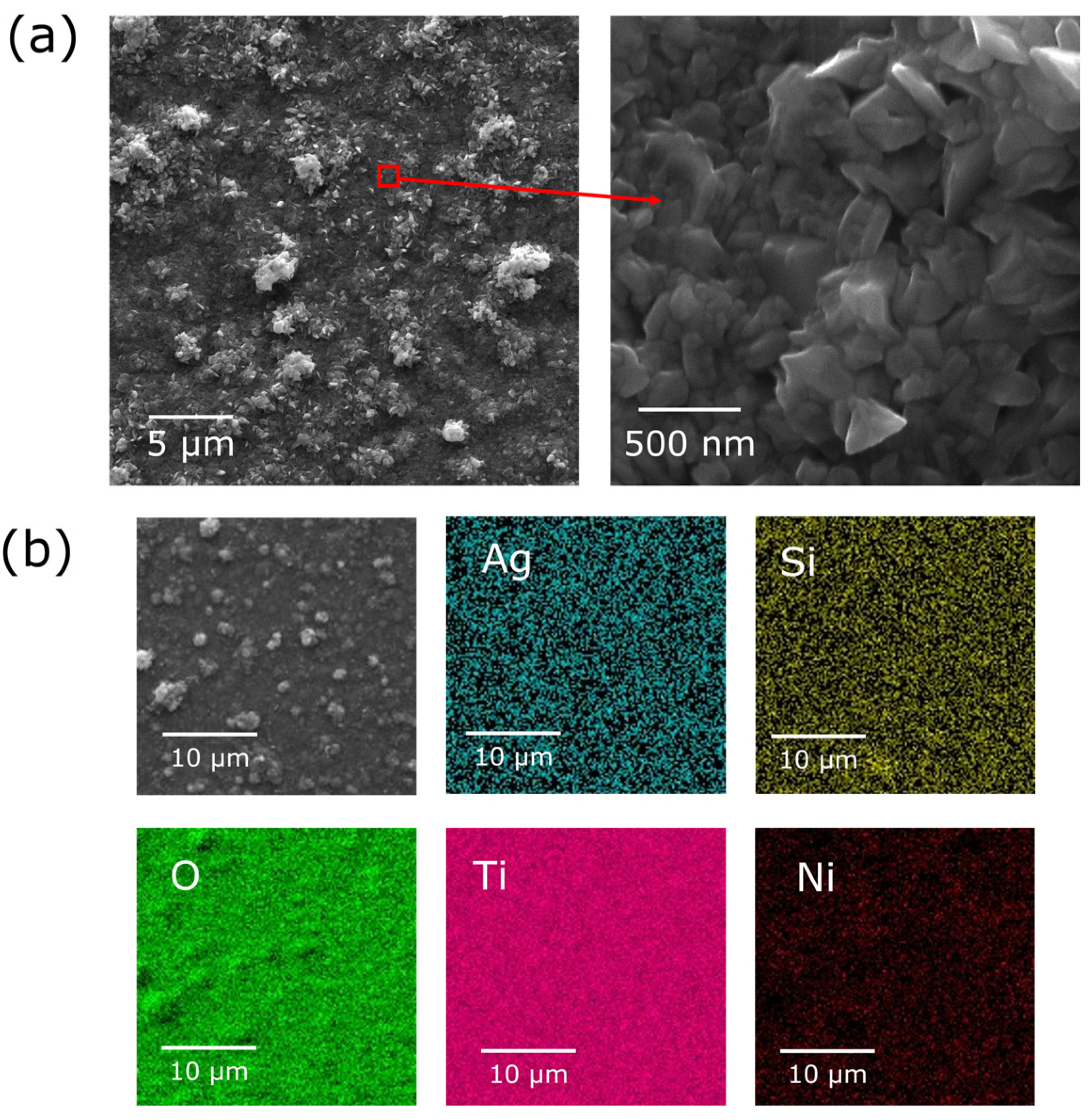 Coatings 14 01055 g006