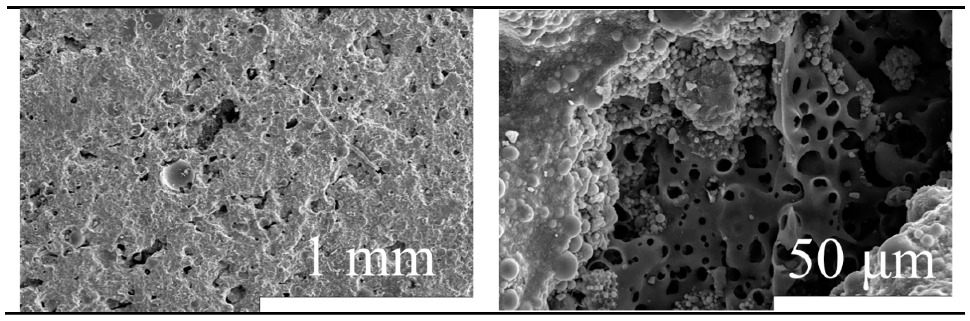 Coatings 14 01056 g002