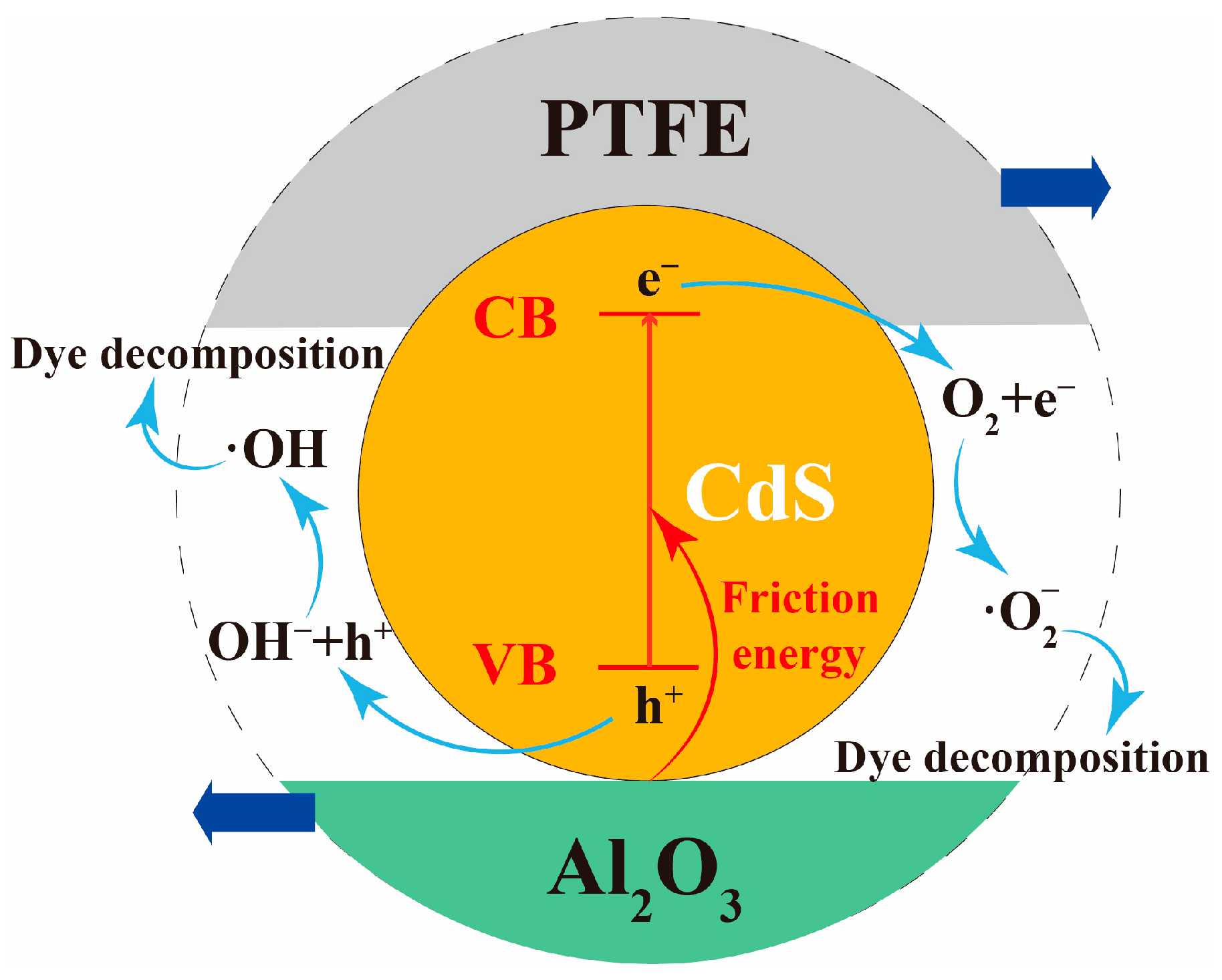 Coatings 14 01057 g006
