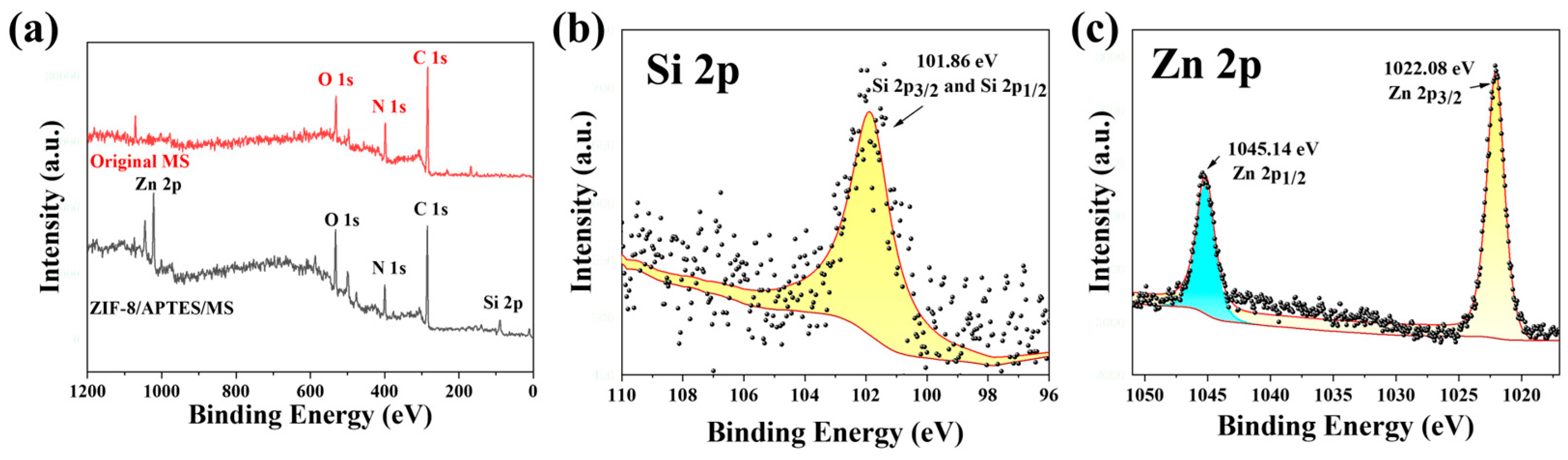 Coatings 14 01058 g003