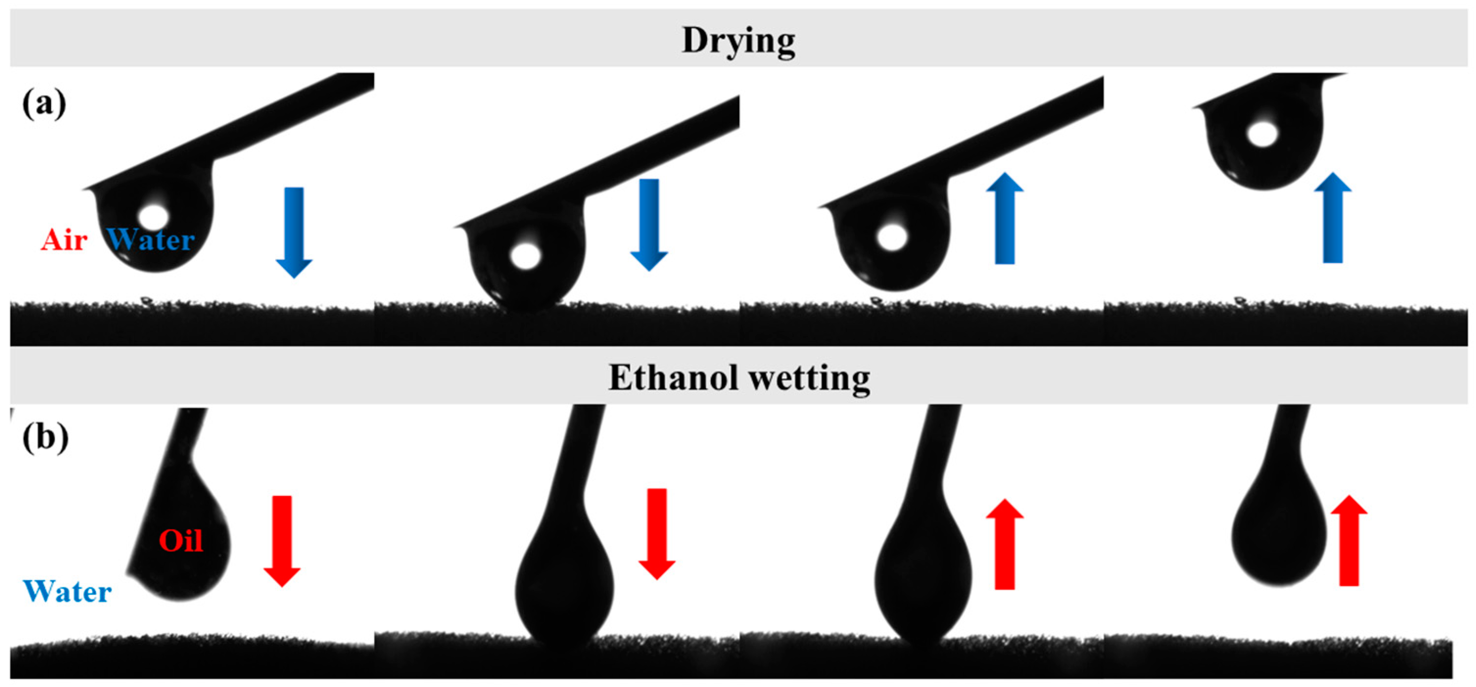Coatings 14 01058 g006
