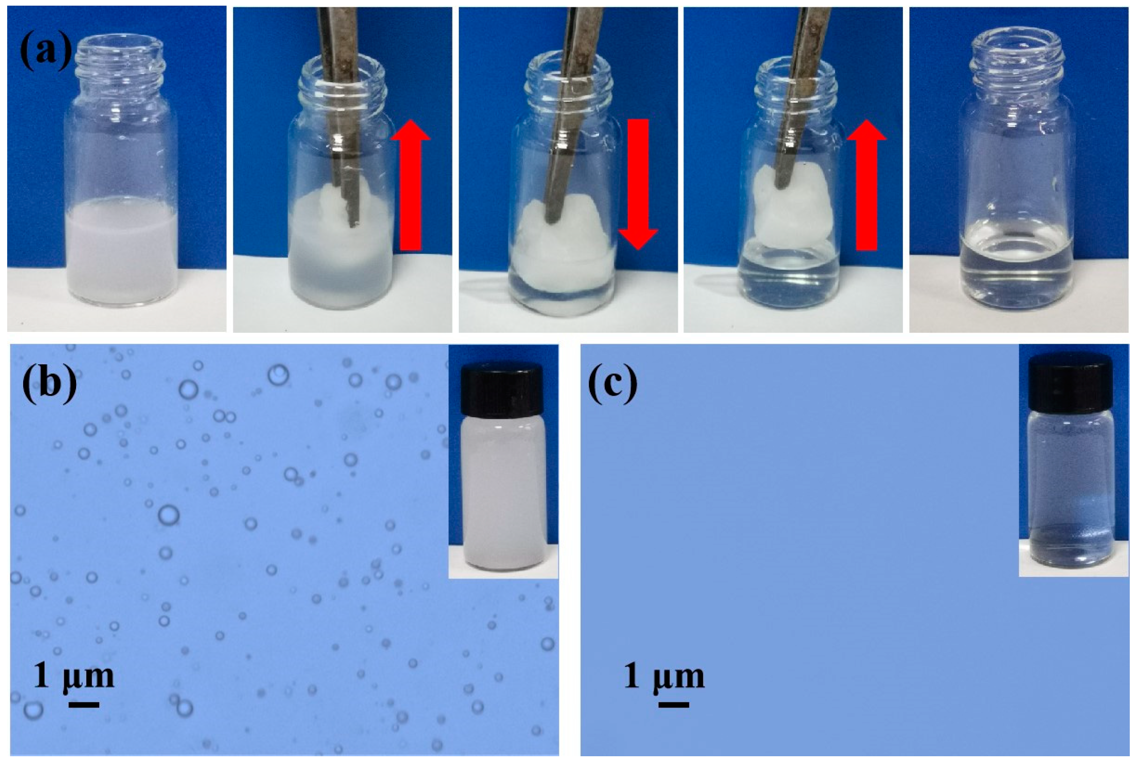 Coatings 14 01058 g010