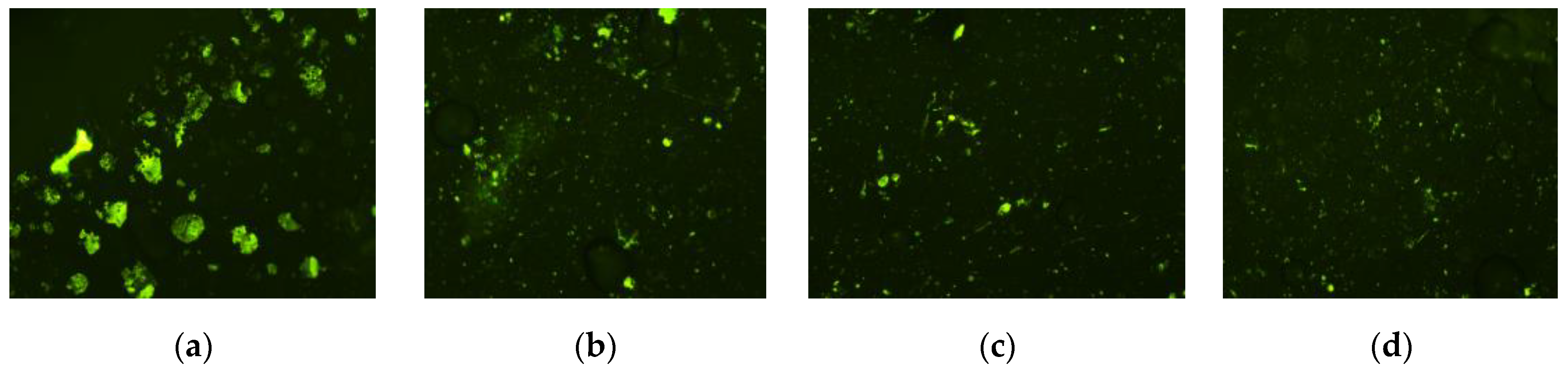 Coatings 14 01059 g007