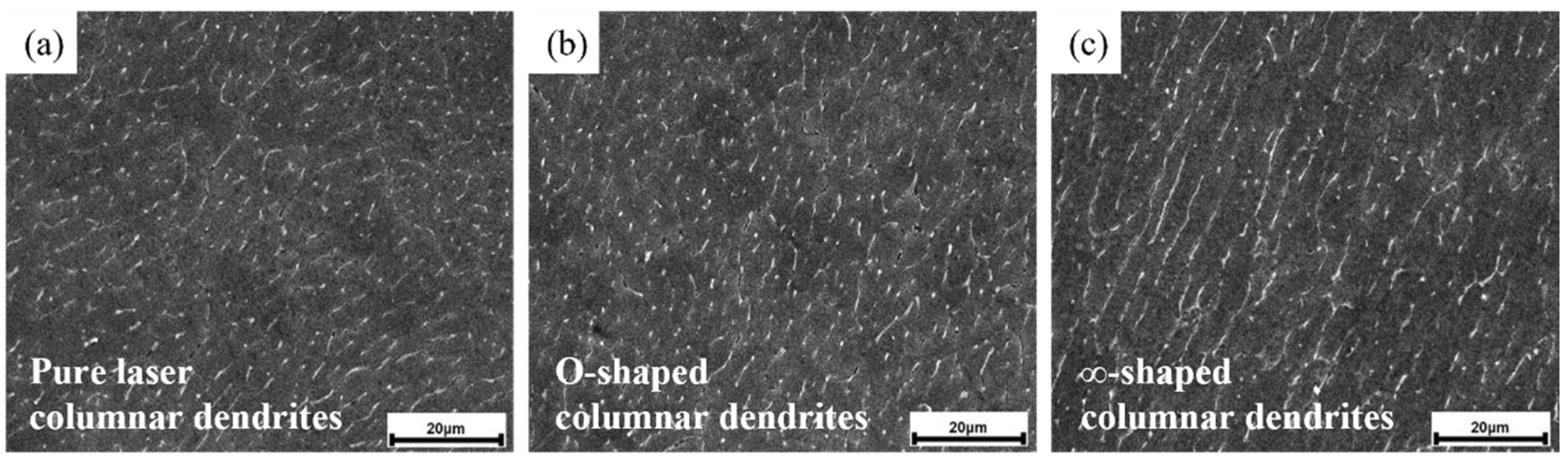 Coatings 14 01065 g010