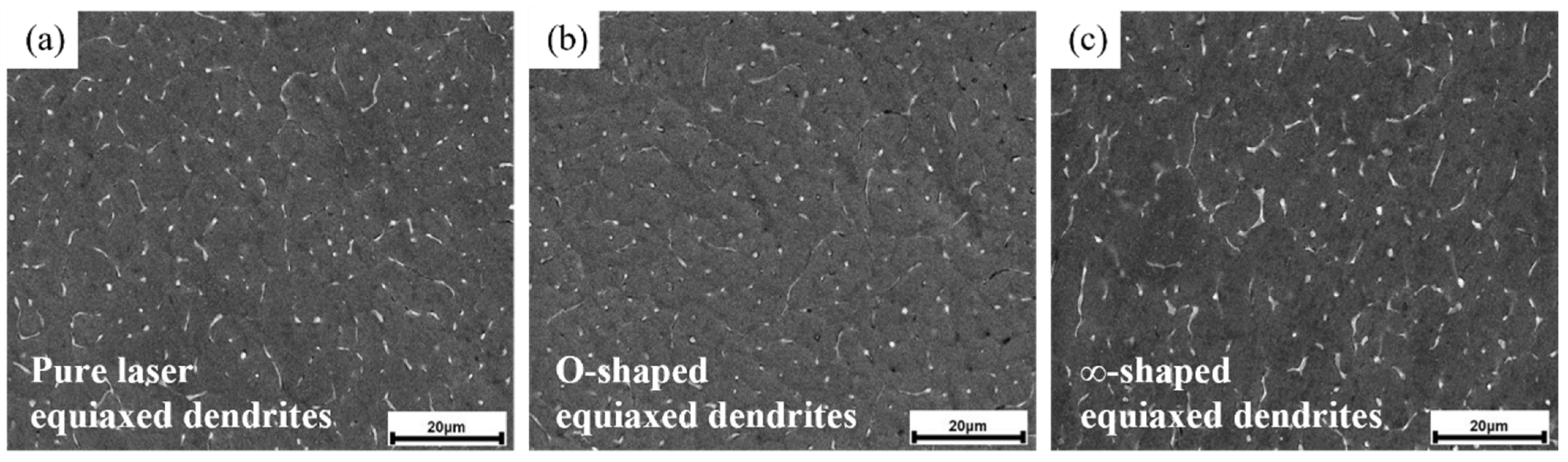 Coatings 14 01065 g011