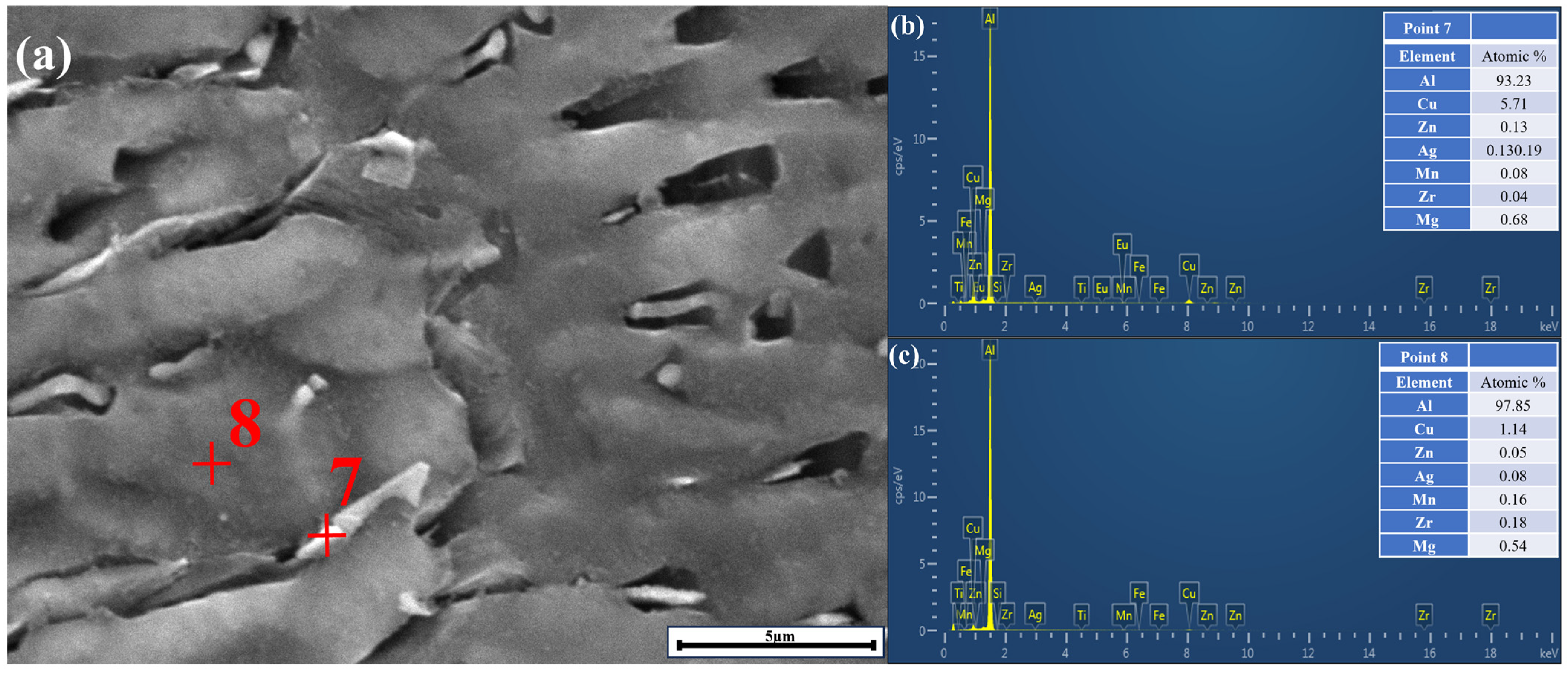 Coatings 14 01065 g015