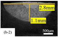 Coatings 14 01065 i004
