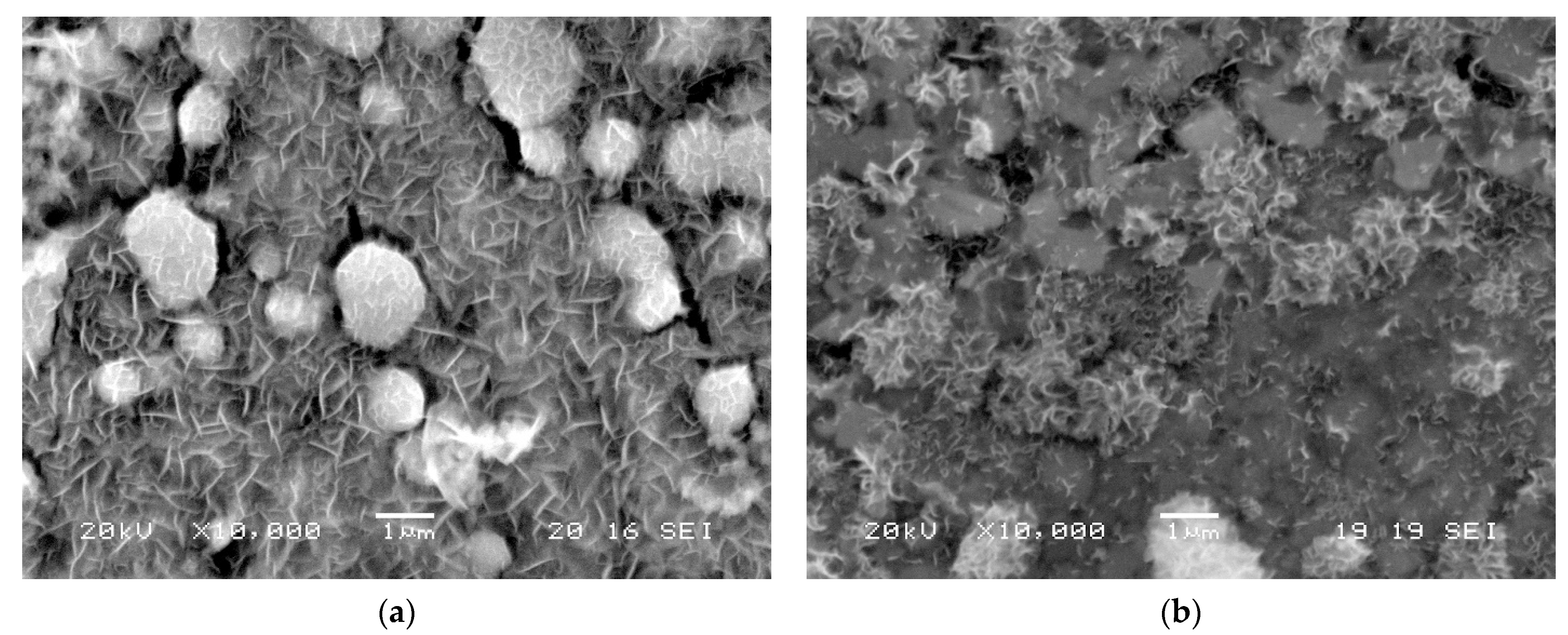 Coatings 14 01066 g007