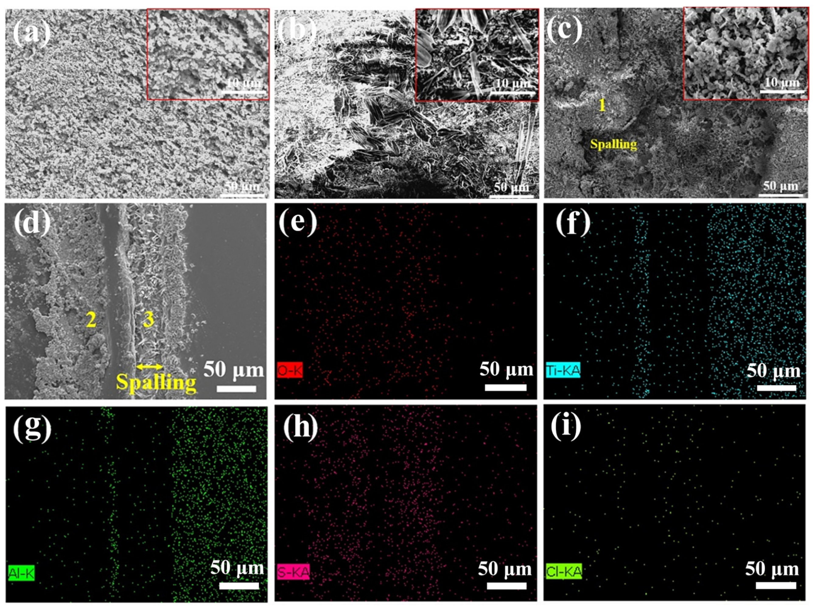Coatings 14 01067 g006