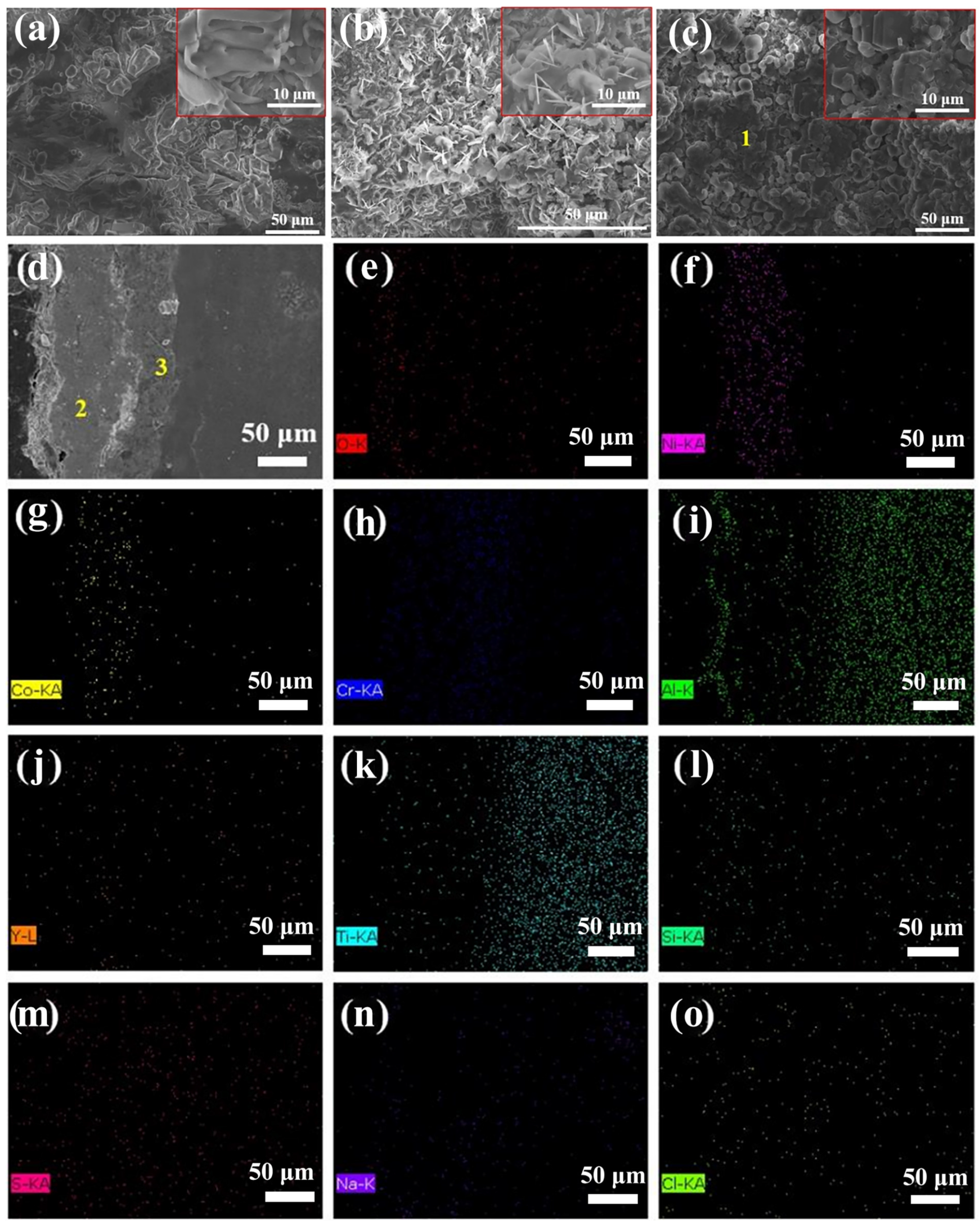 Coatings 14 01067 g008