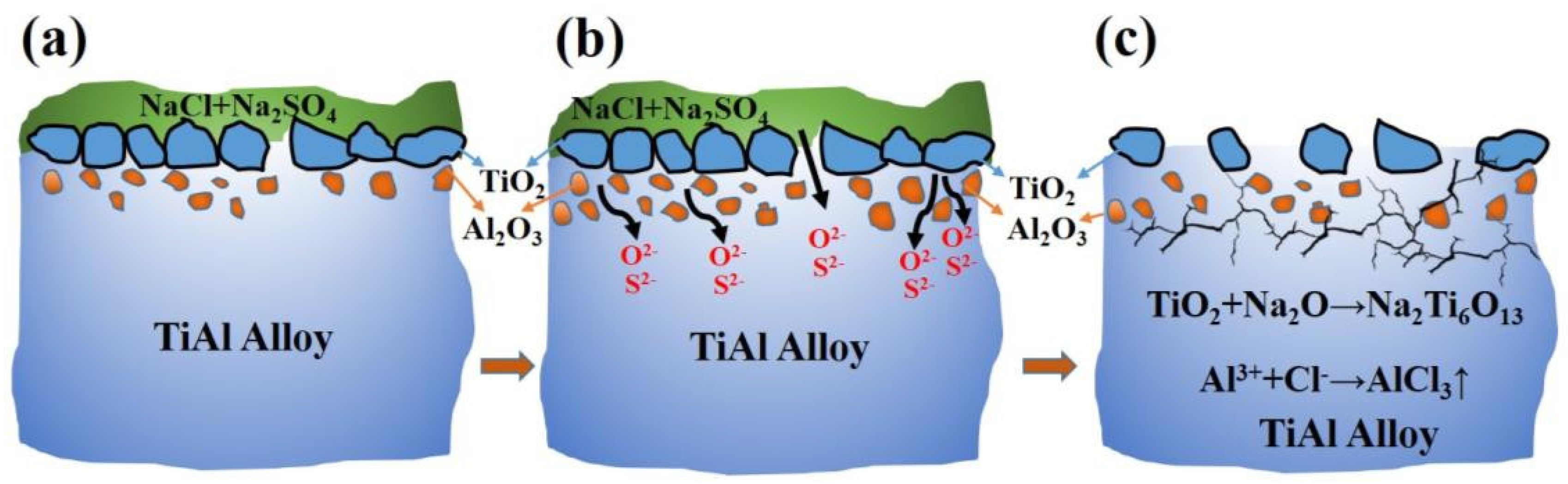 Coatings 14 01067 g009
