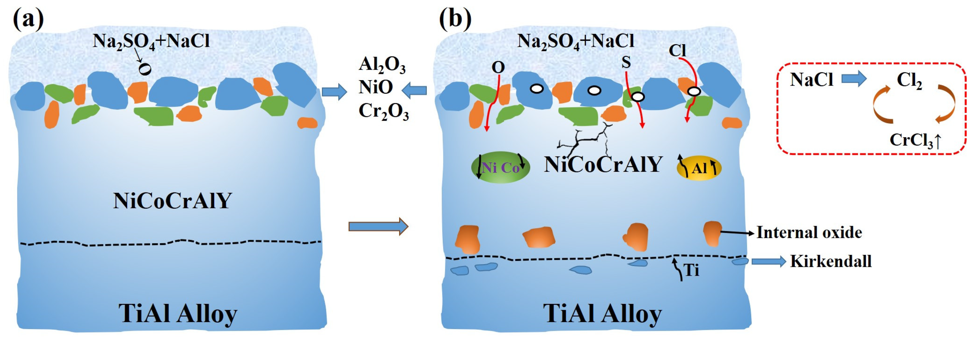 Coatings 14 01067 g010