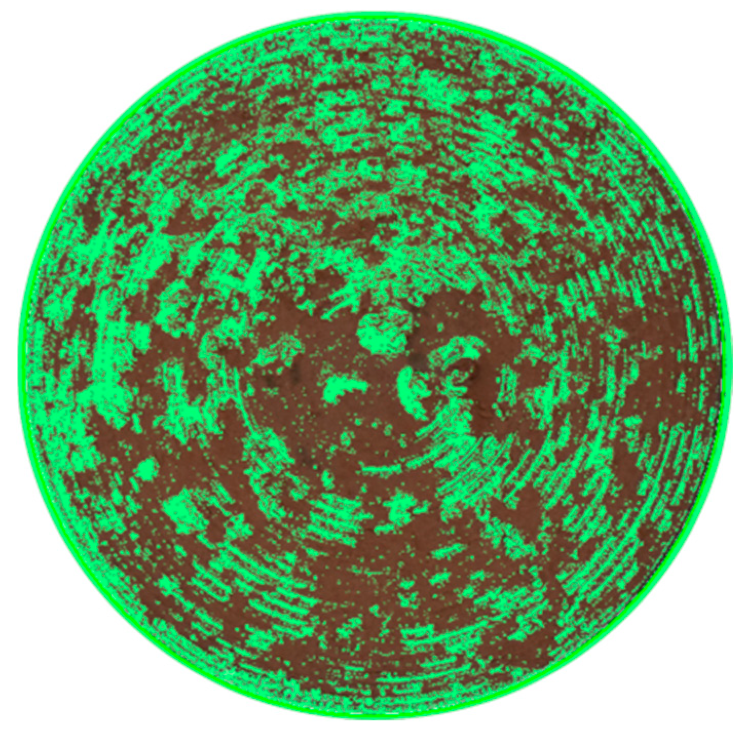 Coatings 14 01071 g009