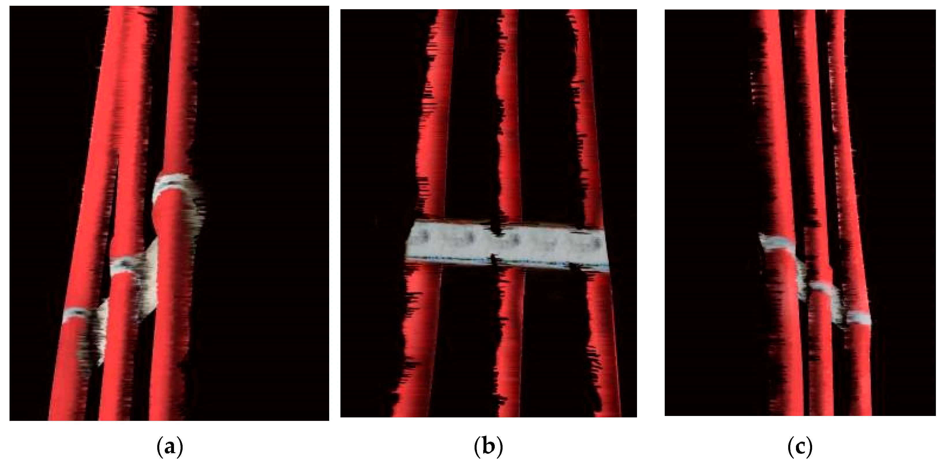 Coatings 14 01079 g015