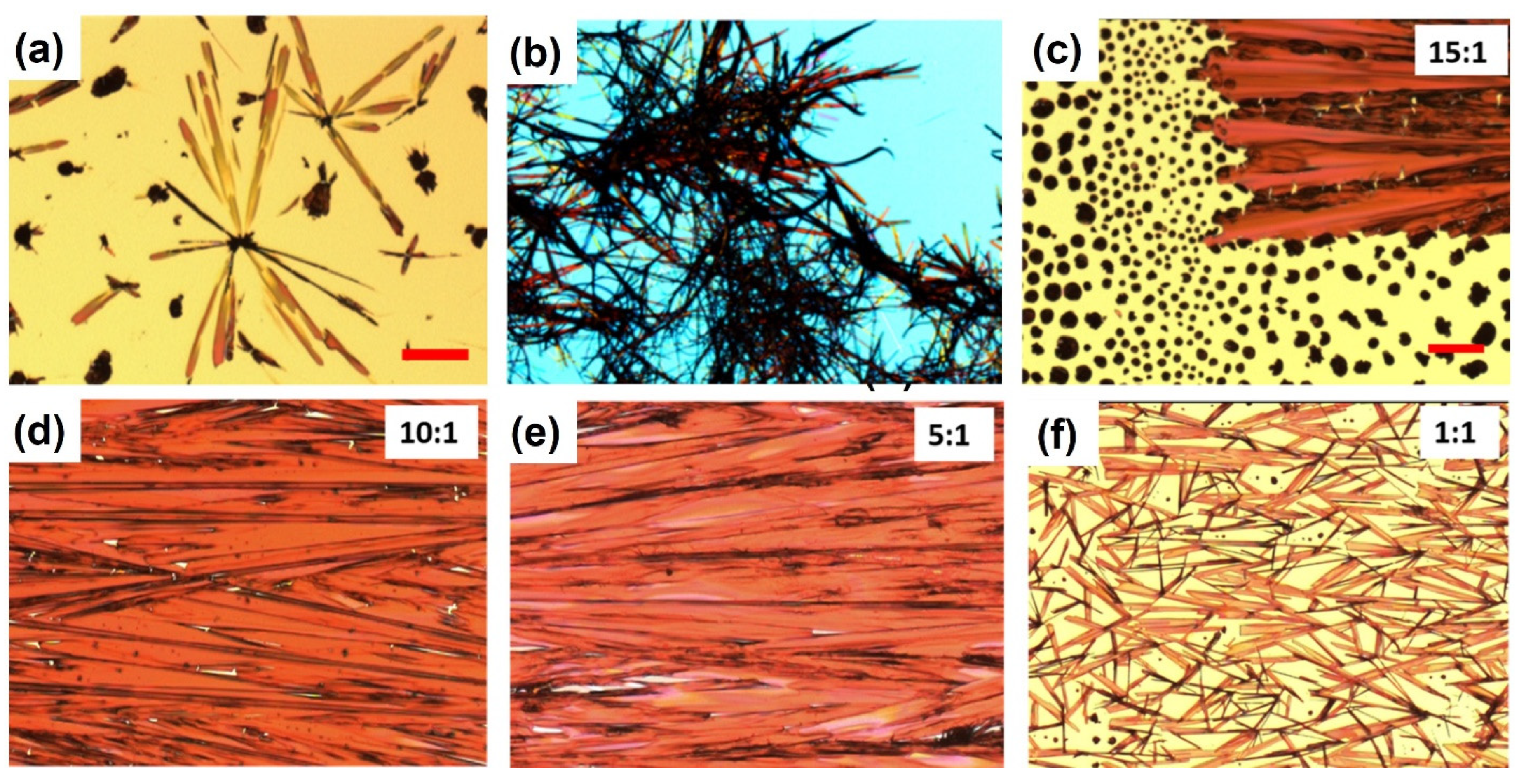 Coatings 14 01080 g002