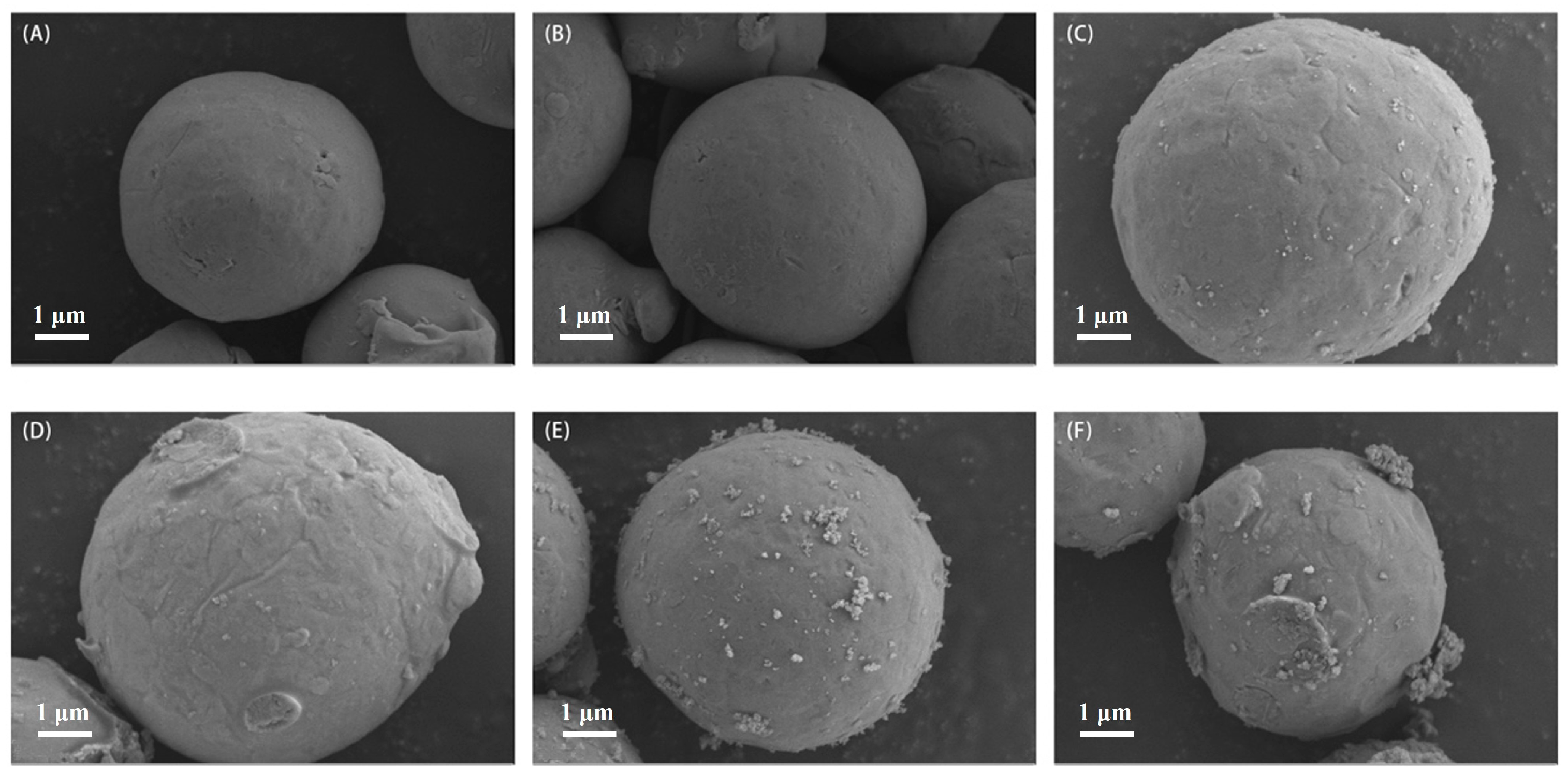 Coatings 14 01082 g006
