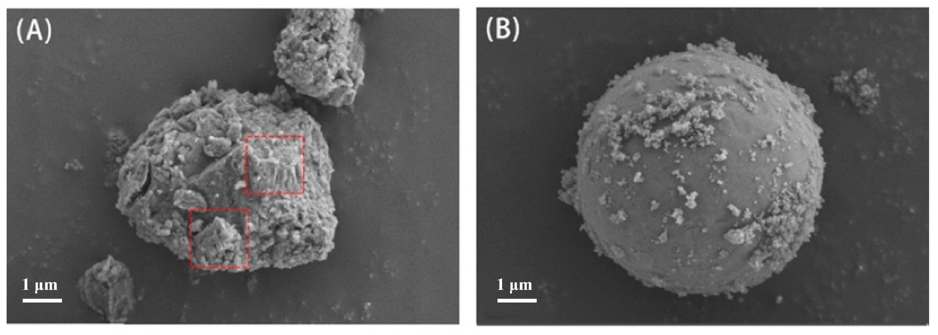 Coatings 14 01082 g012