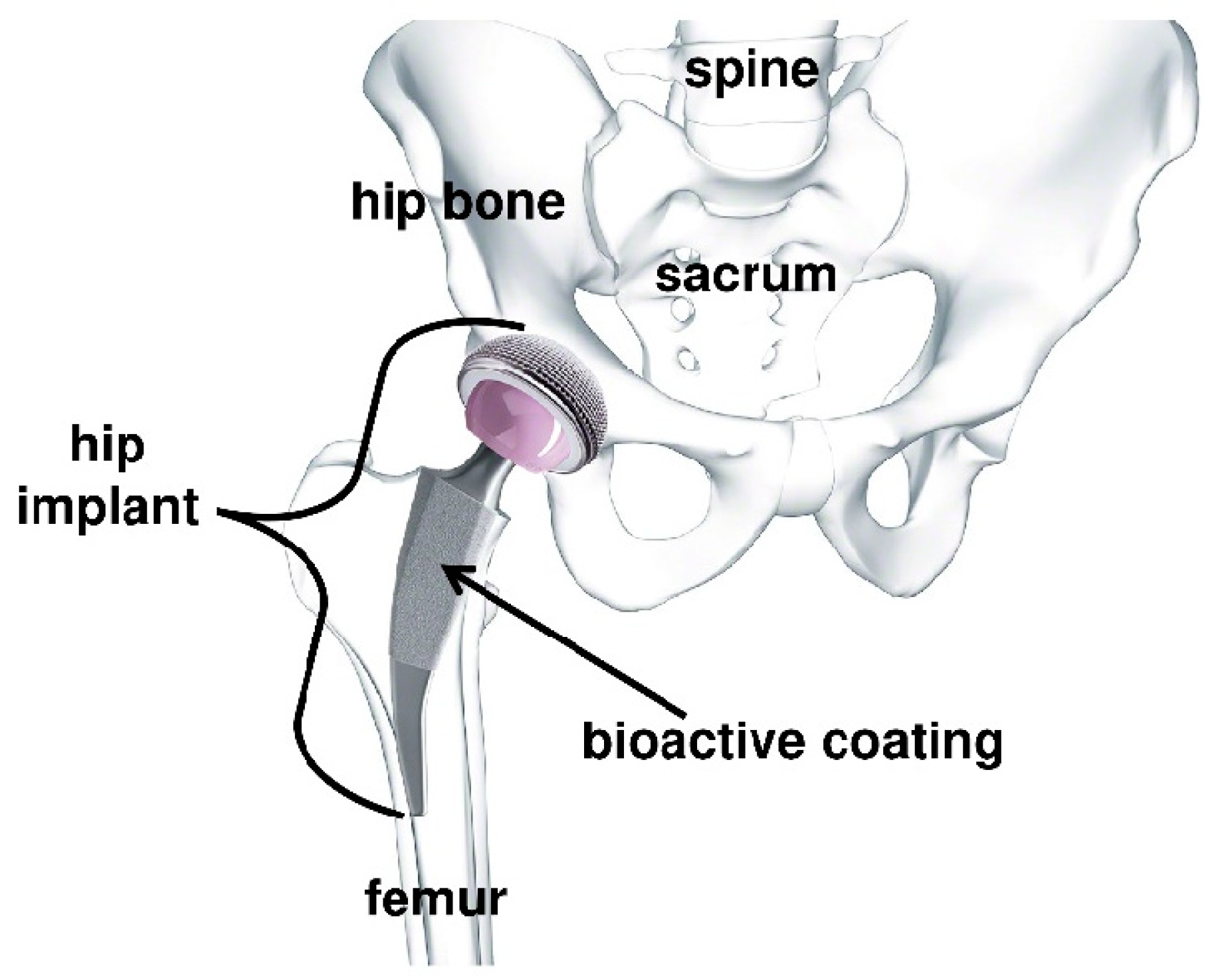 Coatings 14 01084 g001