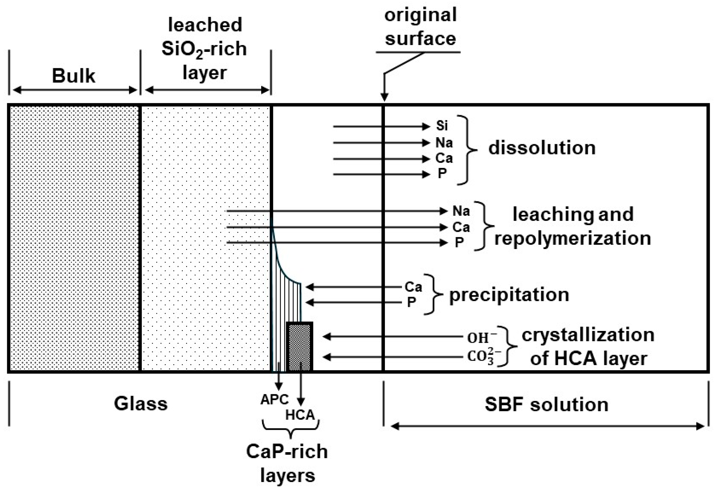 Coatings 14 01084 g004