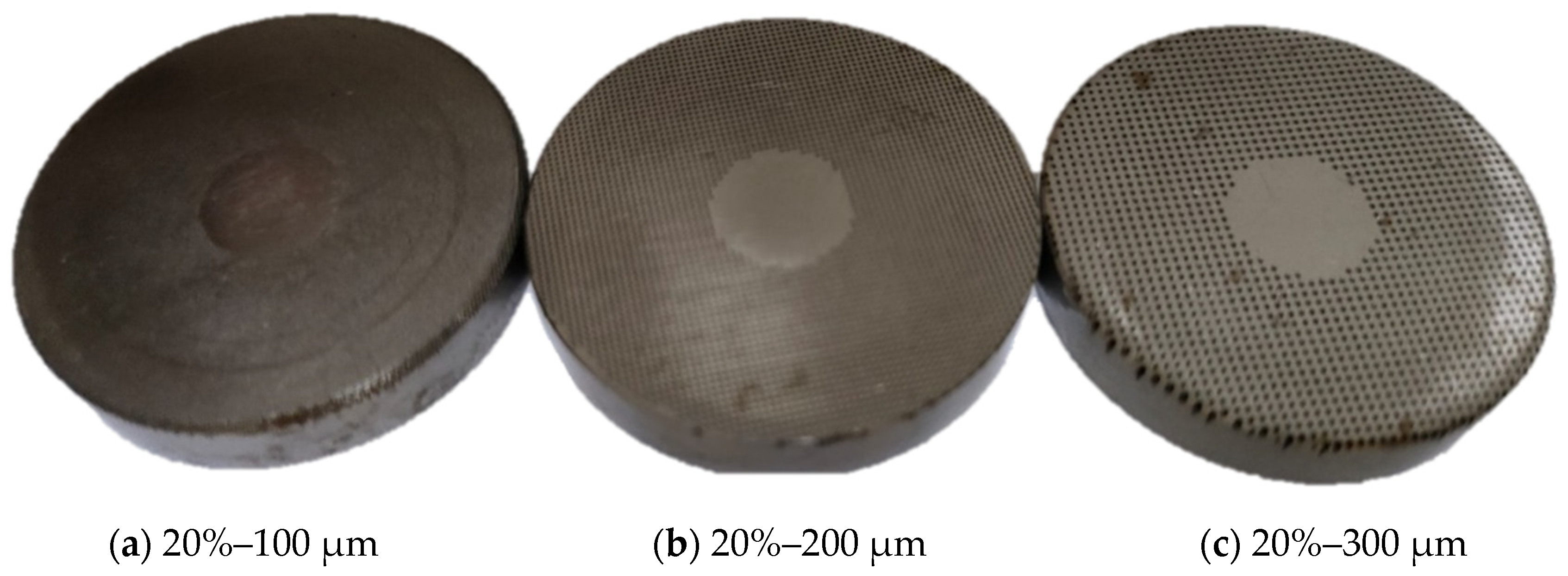 Coatings 14 01087 g010