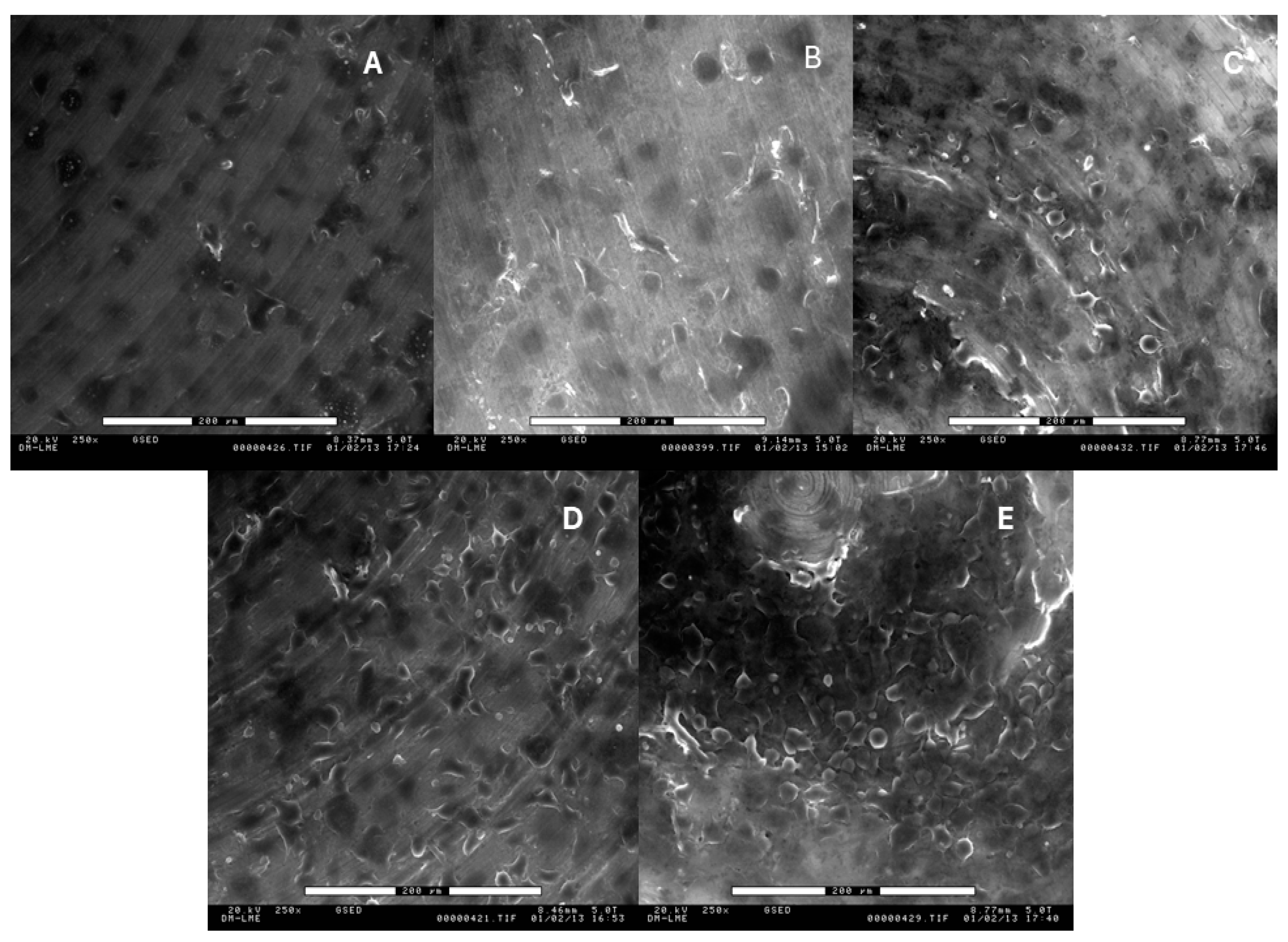 Coatings 14 01093 g002