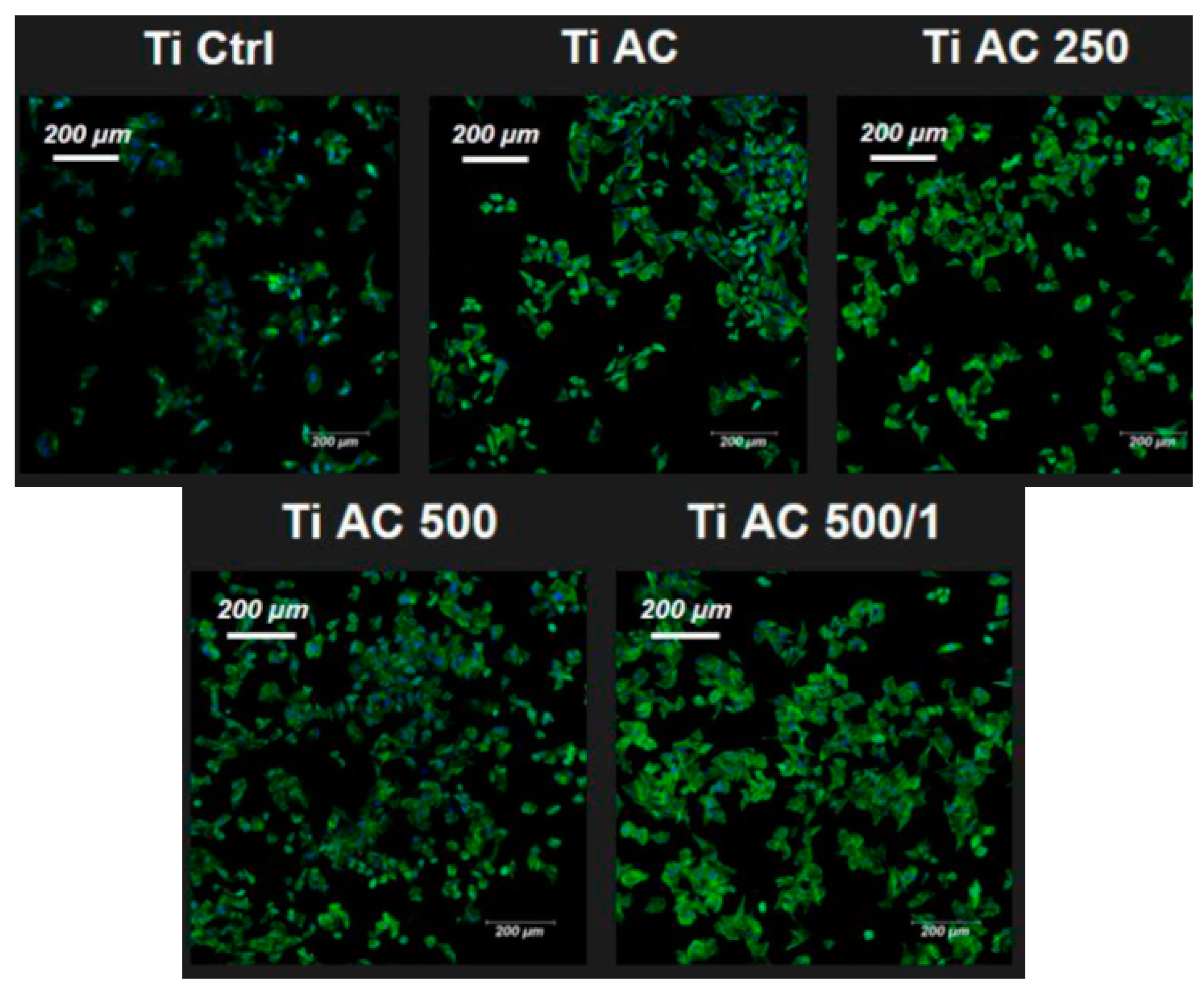 Coatings 14 01093 g005